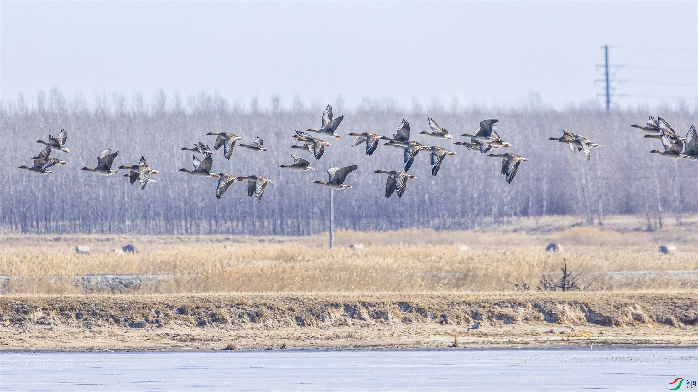 1K3A0430 ����1.jpg