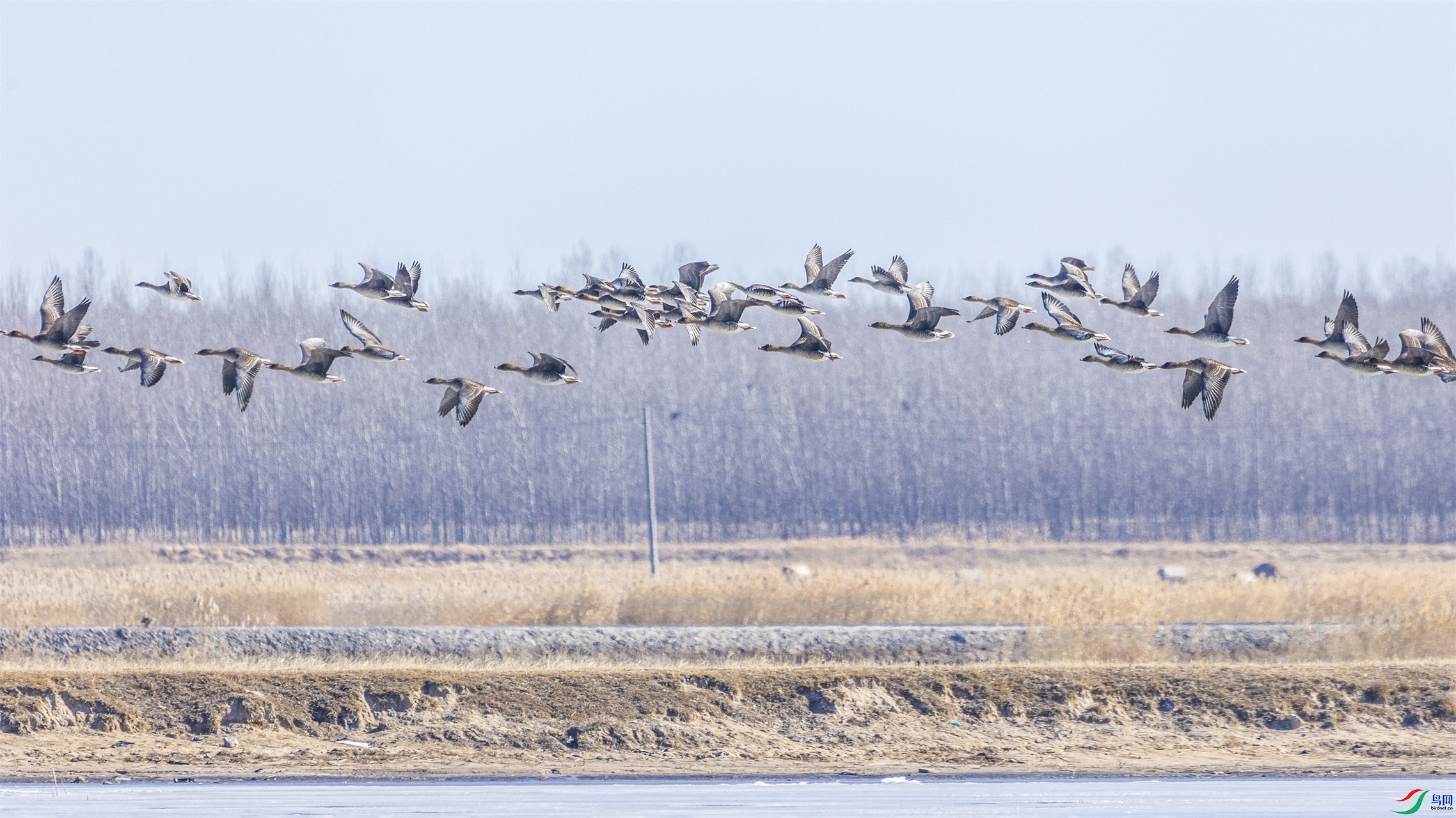 1K3A0433 ����1.jpg