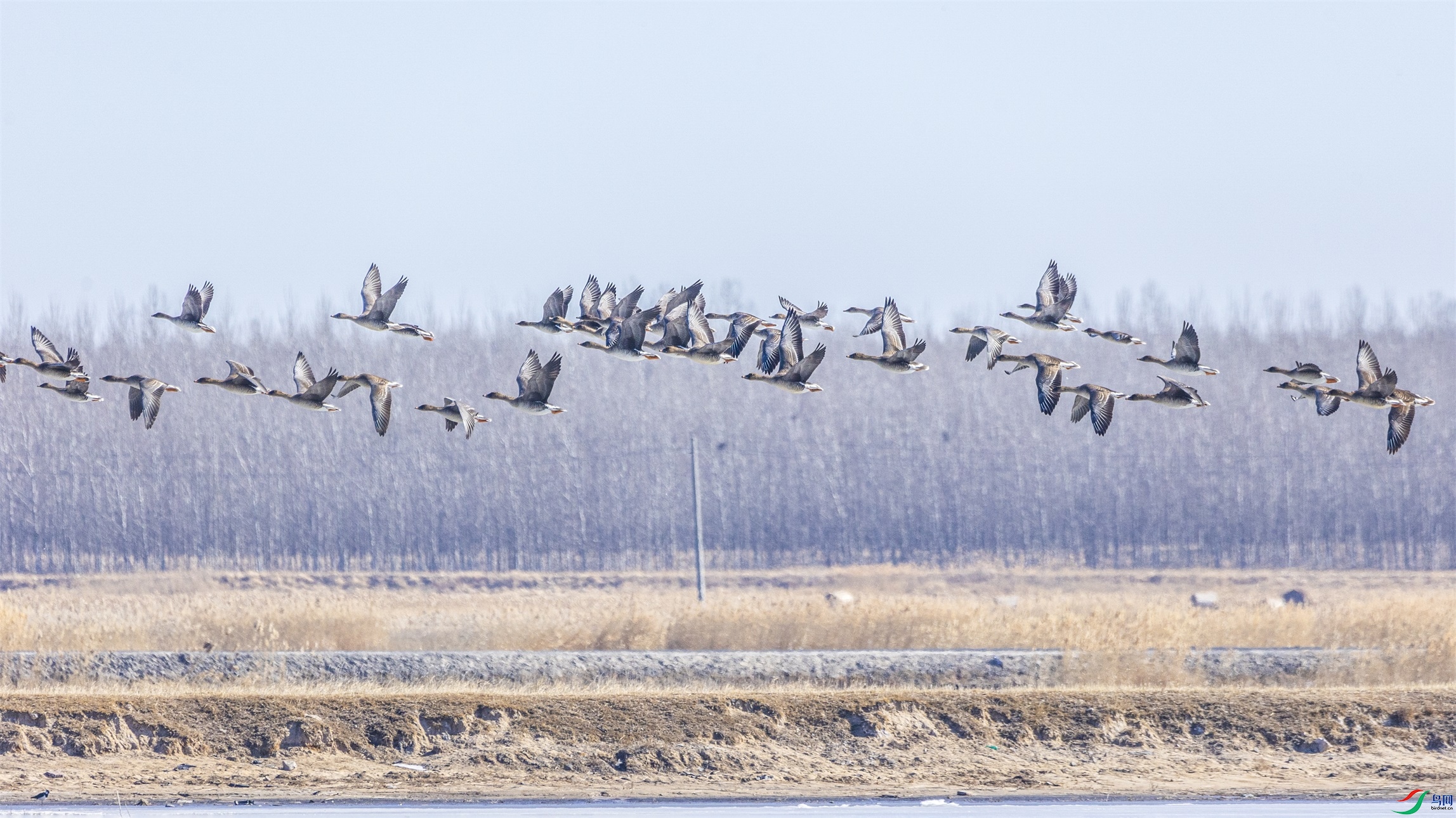 1K3A0434 ����1.jpg