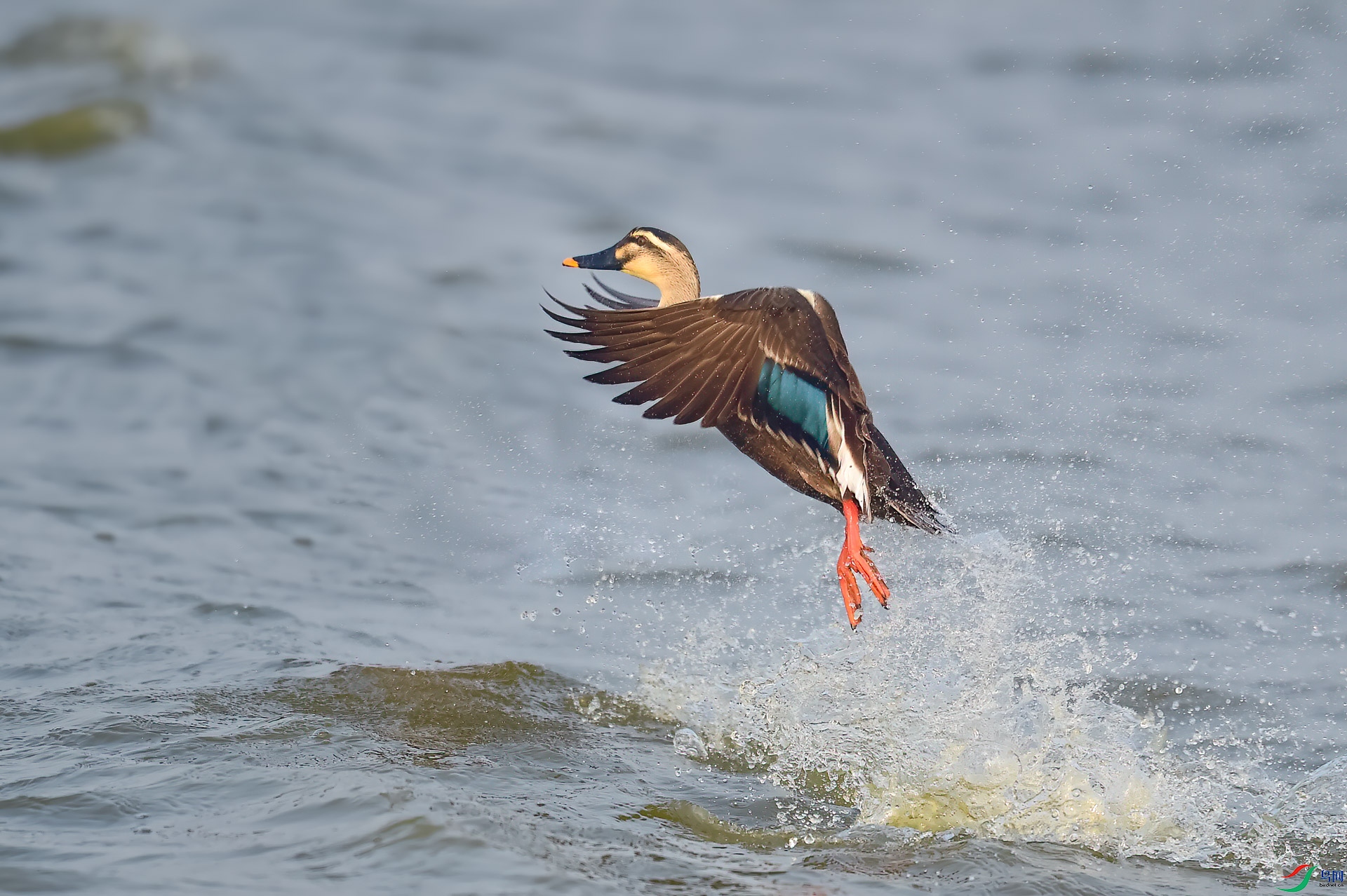 sen2016 12-6-2-�༭-2-�༭.jpg