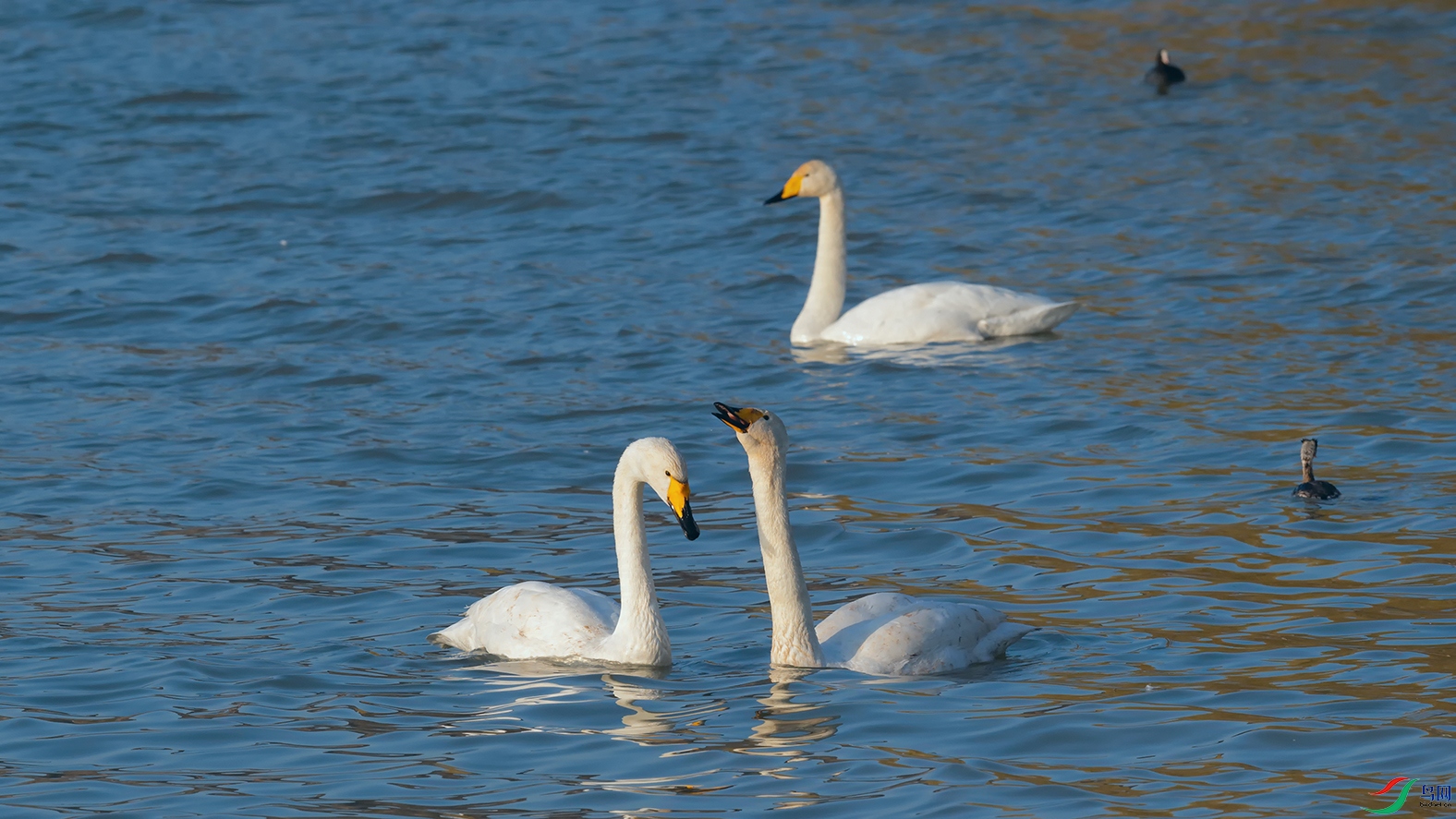 6DSC_3150_DxOa.jpg