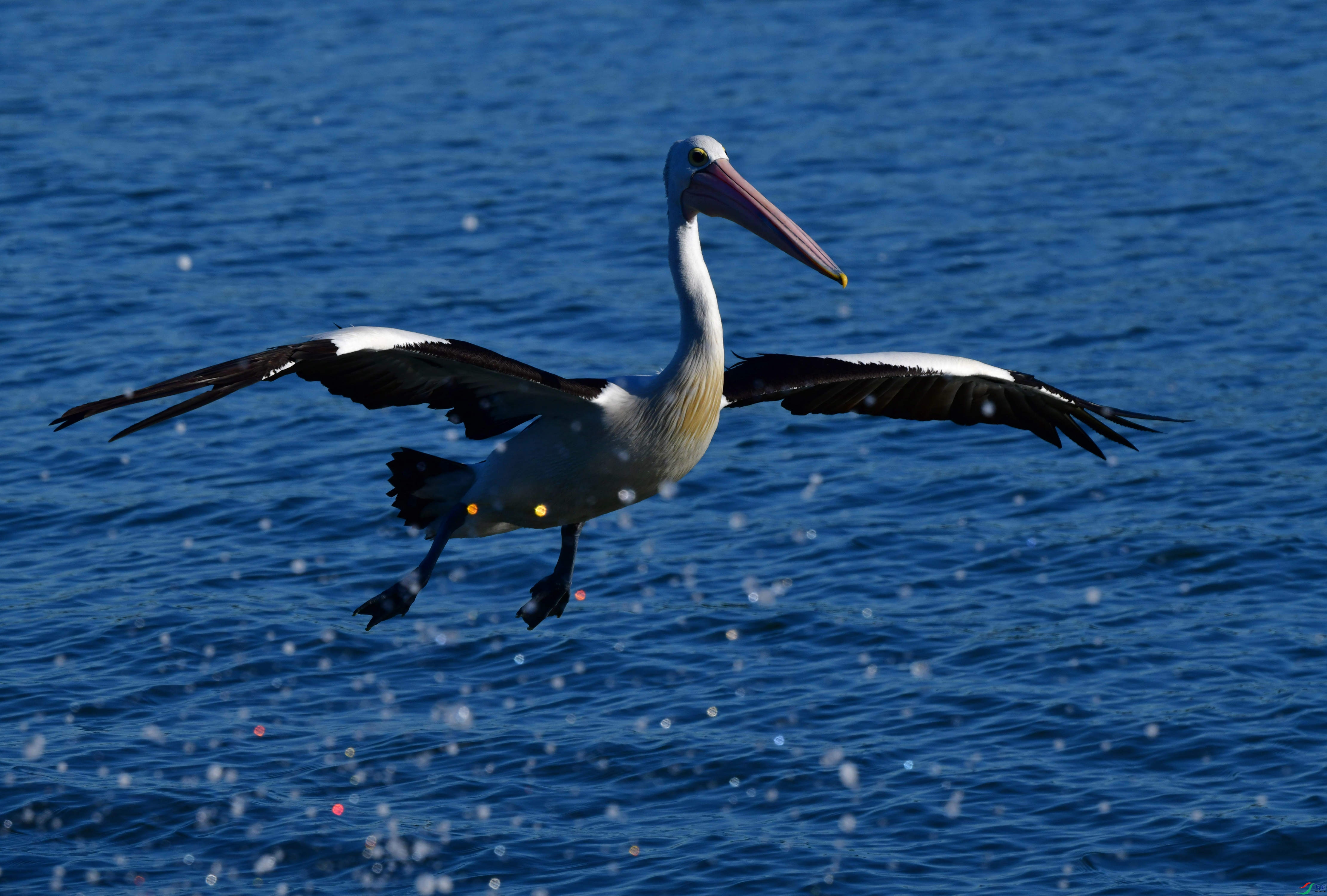 DSC_5340_��ͼ��_����.jpg