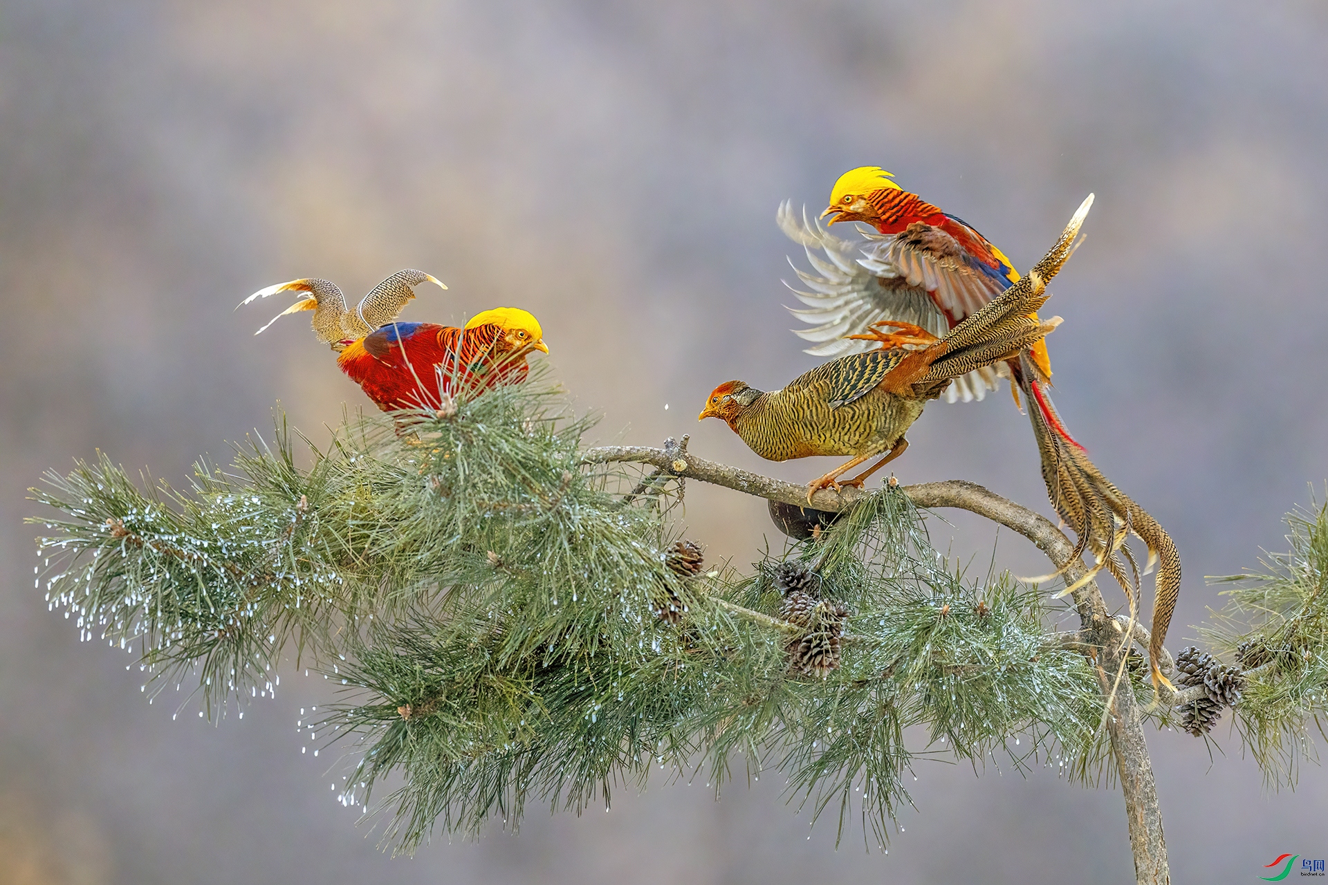 �츹����139����.jpg