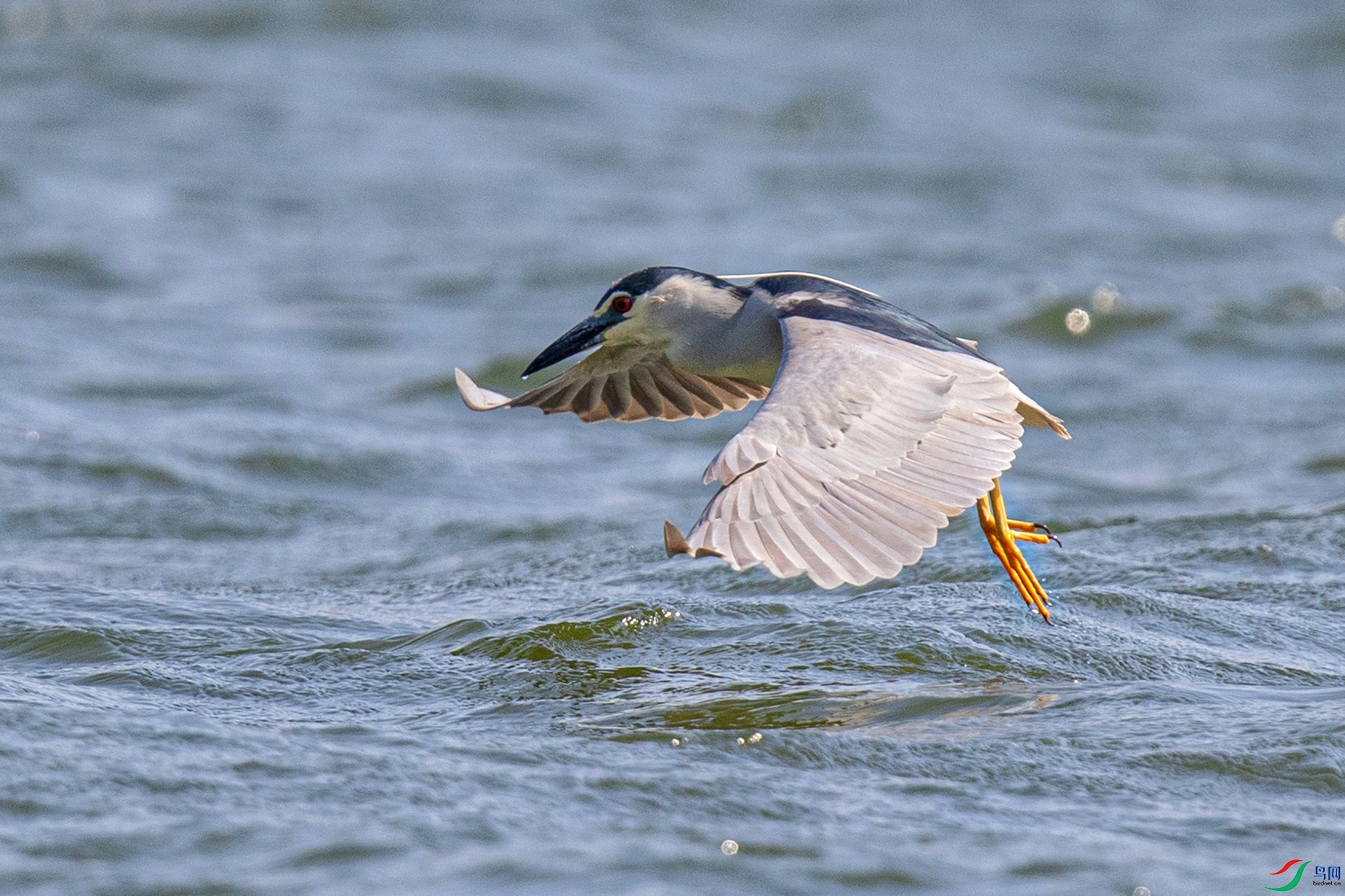 _90I0641 ����.jpg