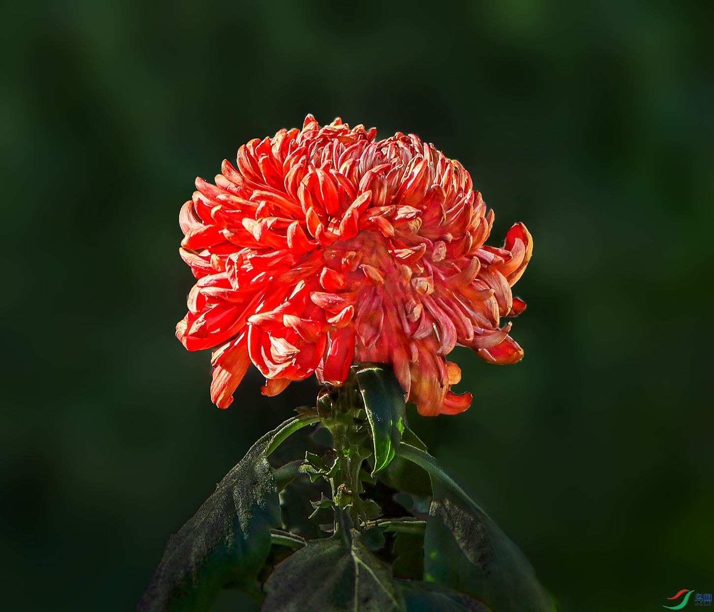 0000583A0366 ���� 1000k.jpg