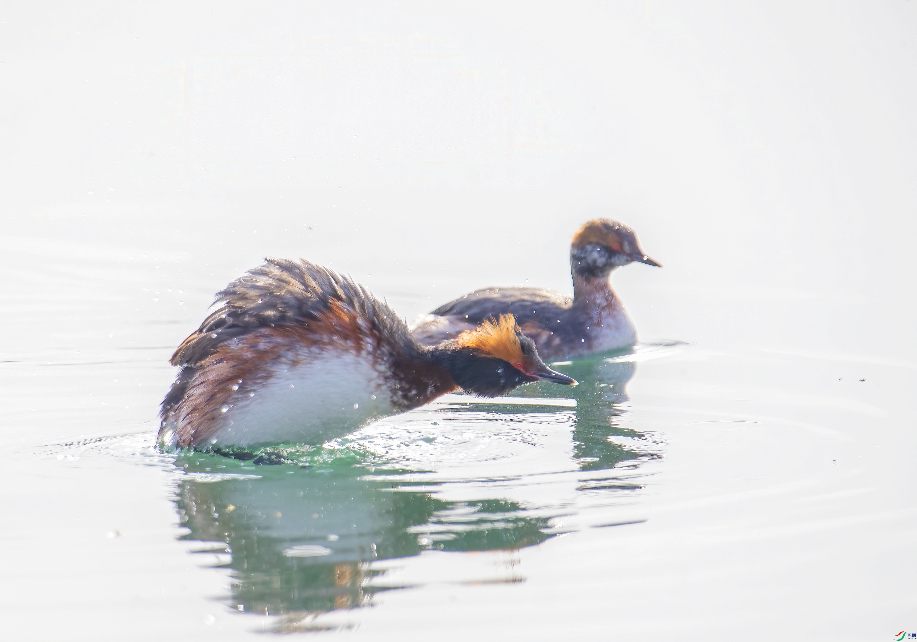 A45I8822 ����.jpg