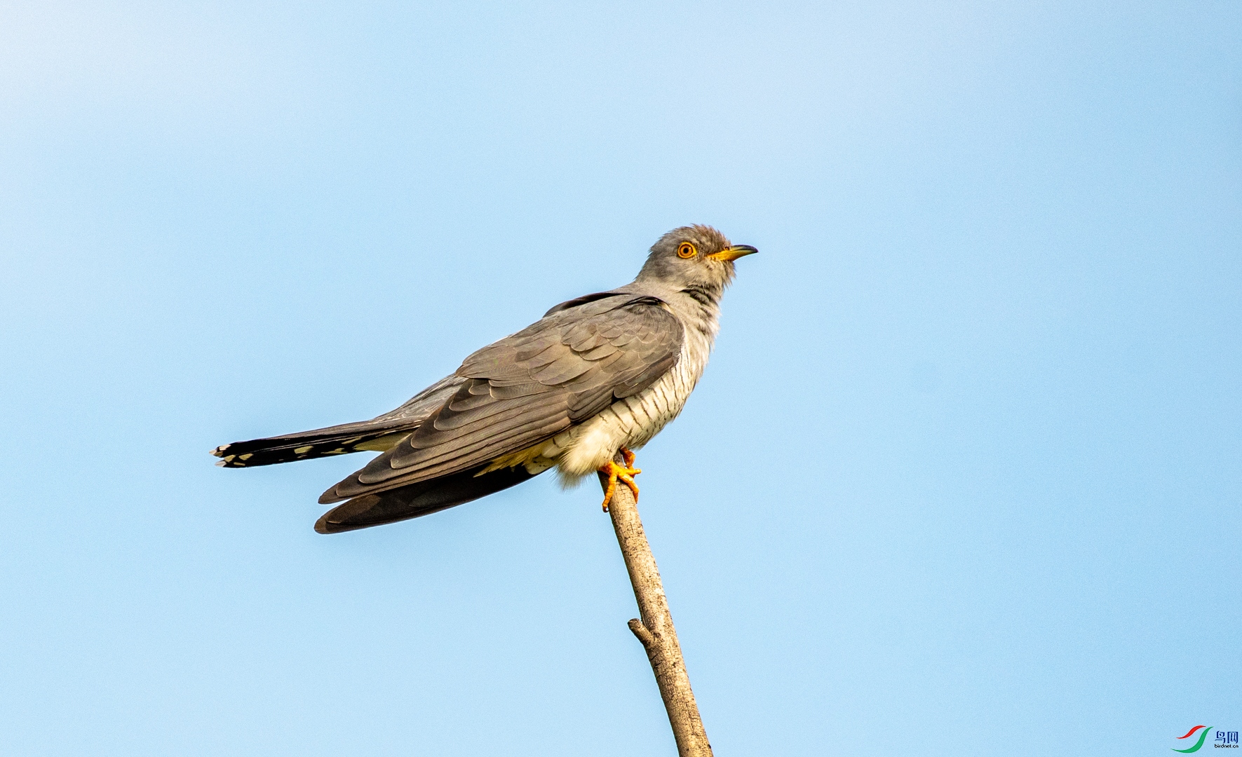 DSC_4350.jpg