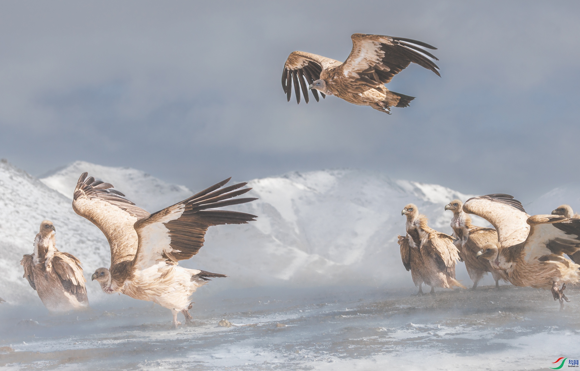 ��ɽأ��1M5A0659.jpg