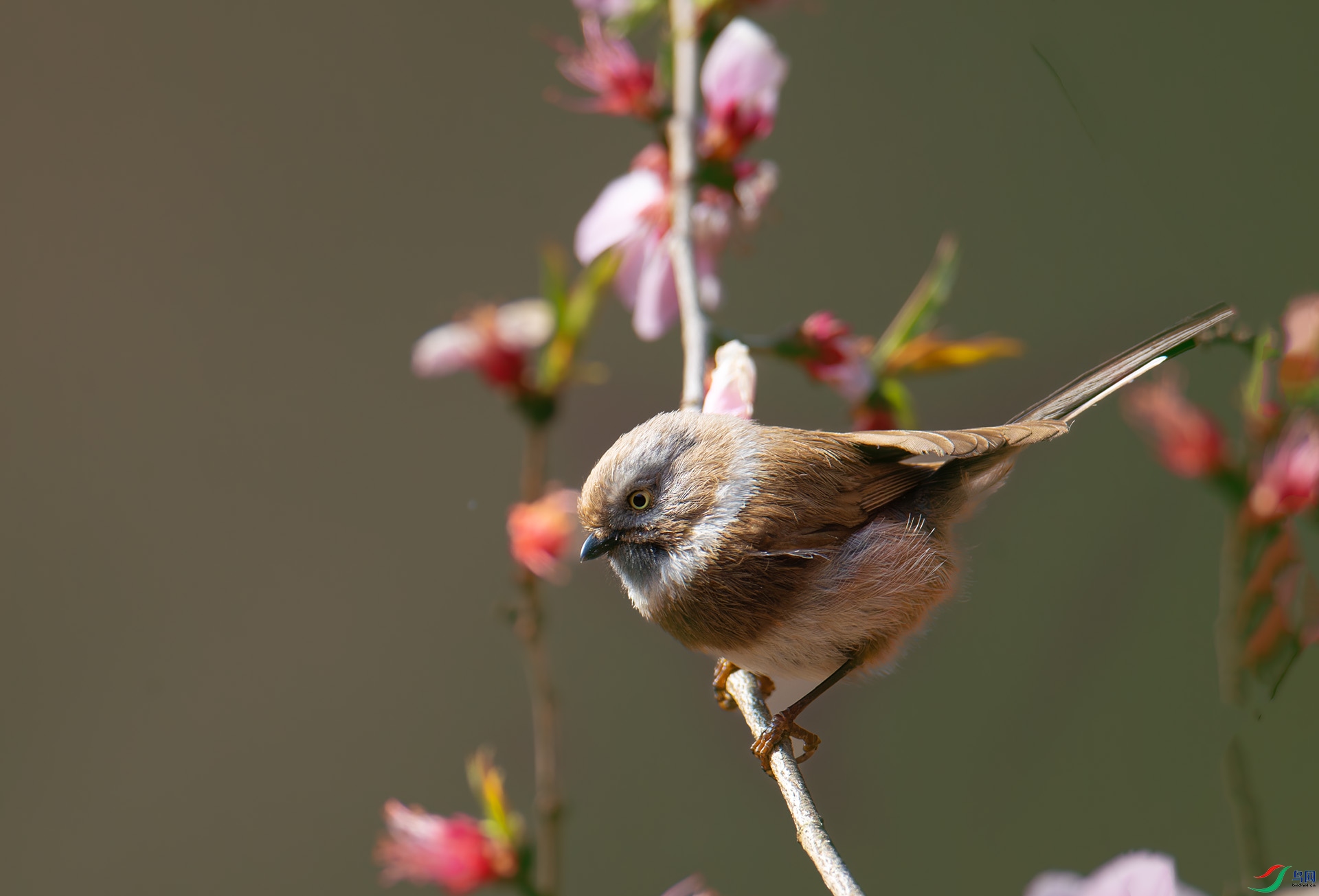 DSC_7861-1.jpg