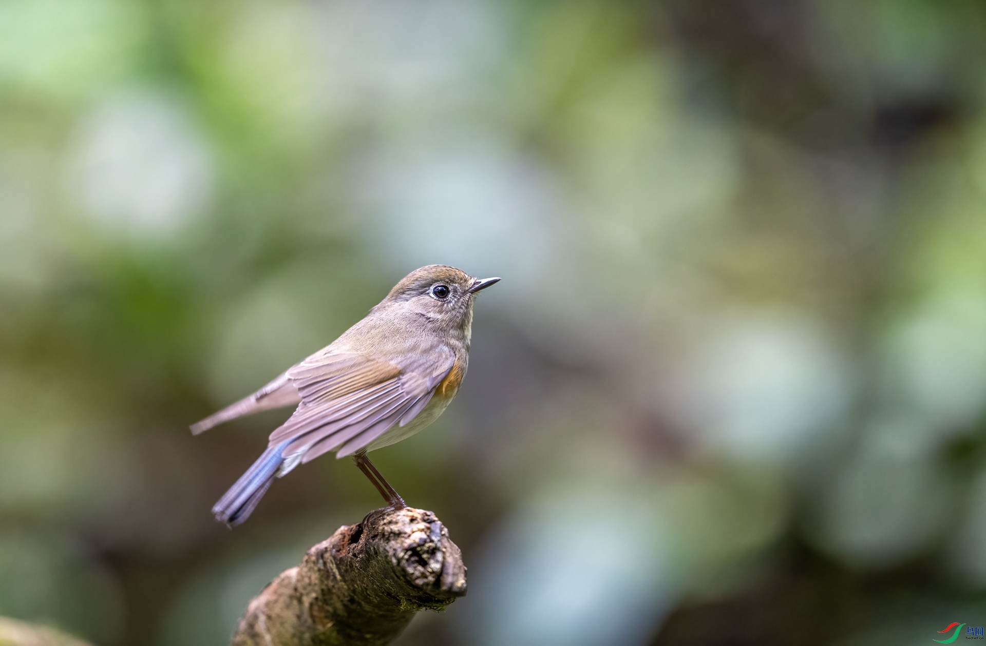 DSC_5967.jpg