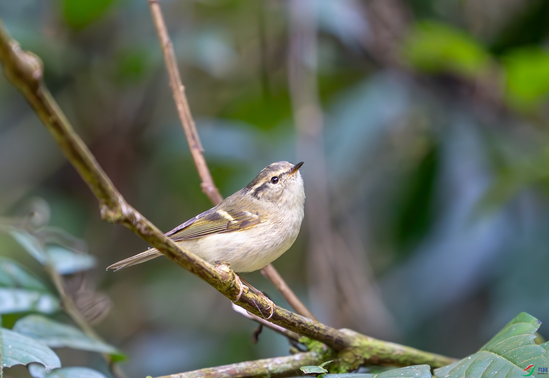 DSC_7277_����.jpg