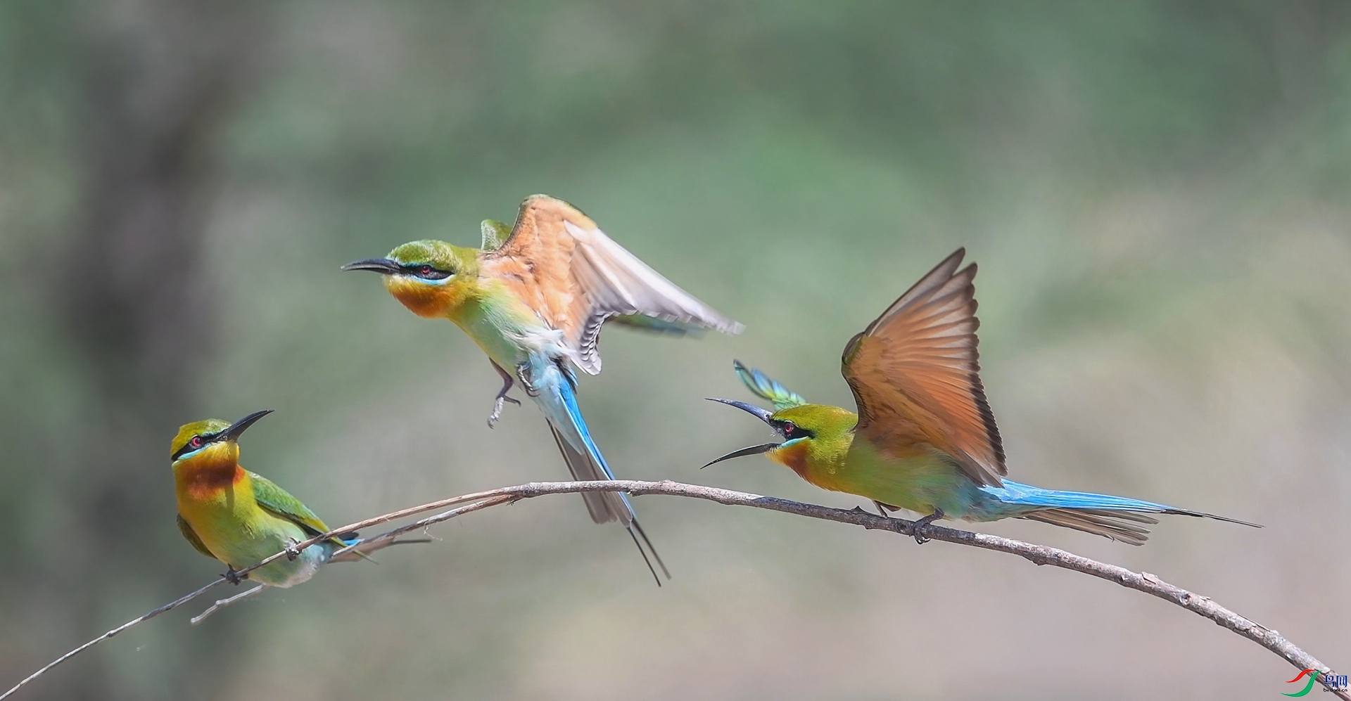 DSC_5192_2.jpg