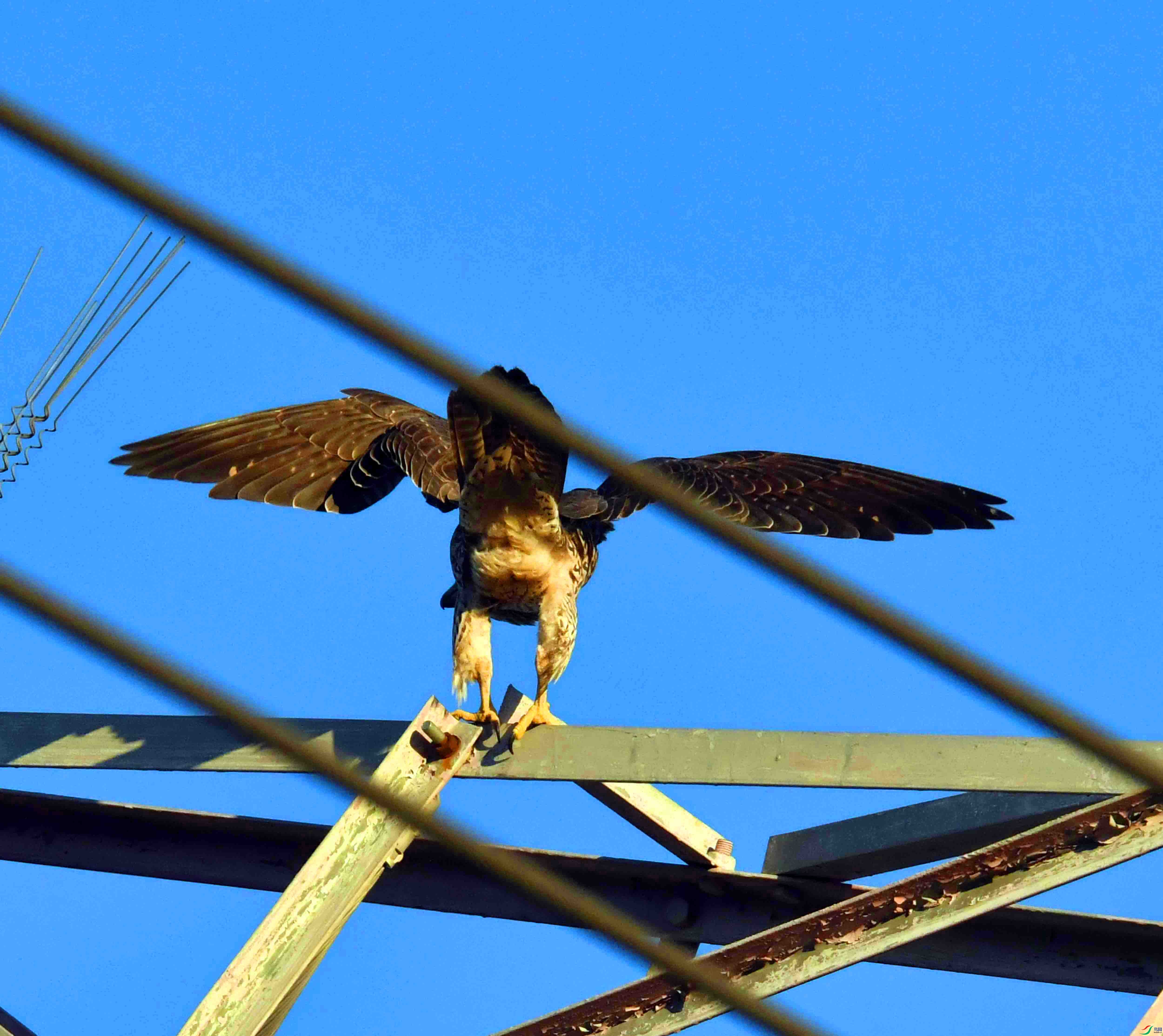 DSC_2246.JPG