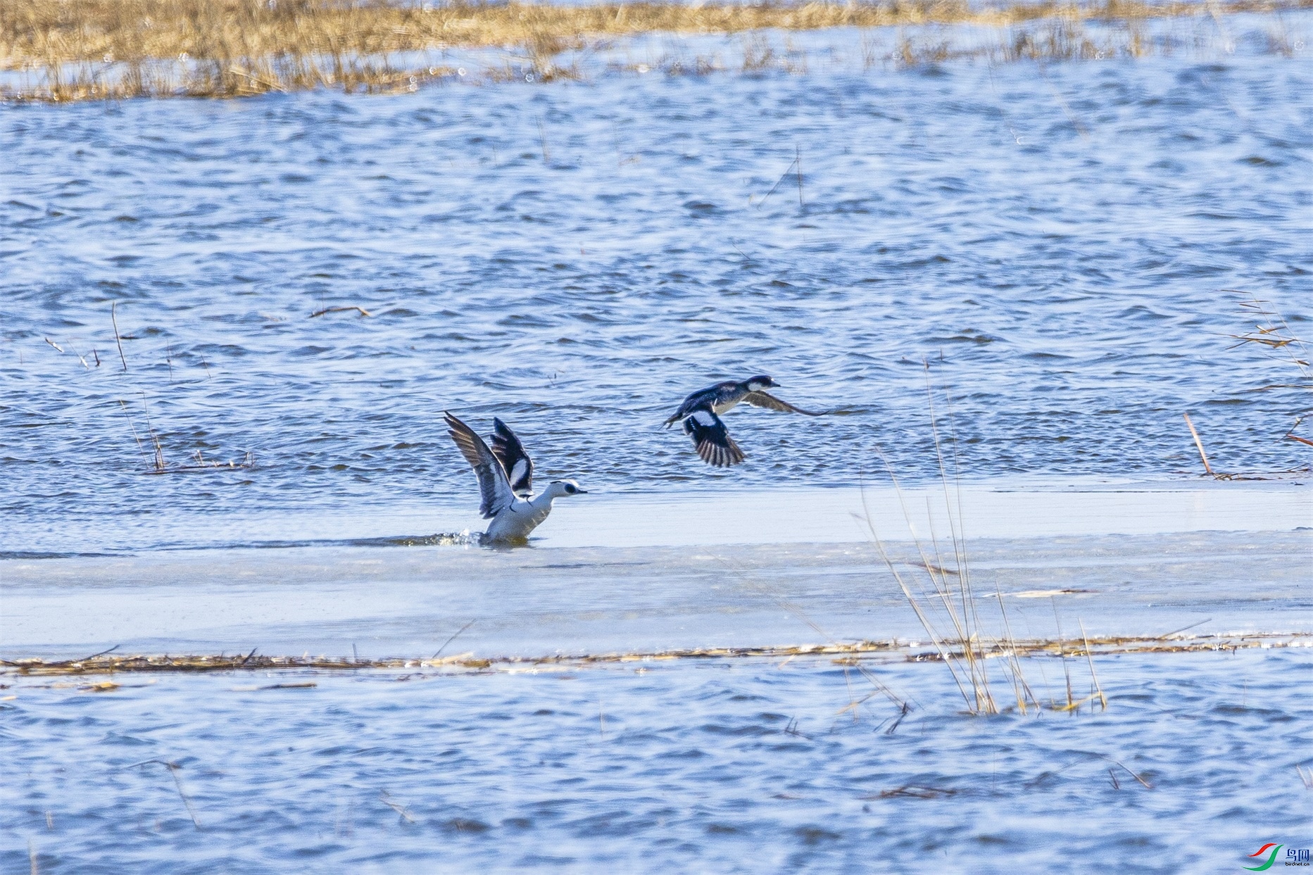 1K3A9876 ����1.jpg