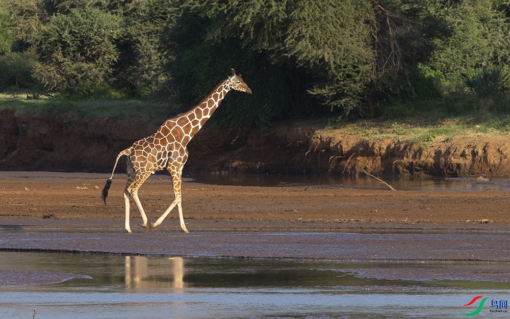 ����¹ (20).jpg