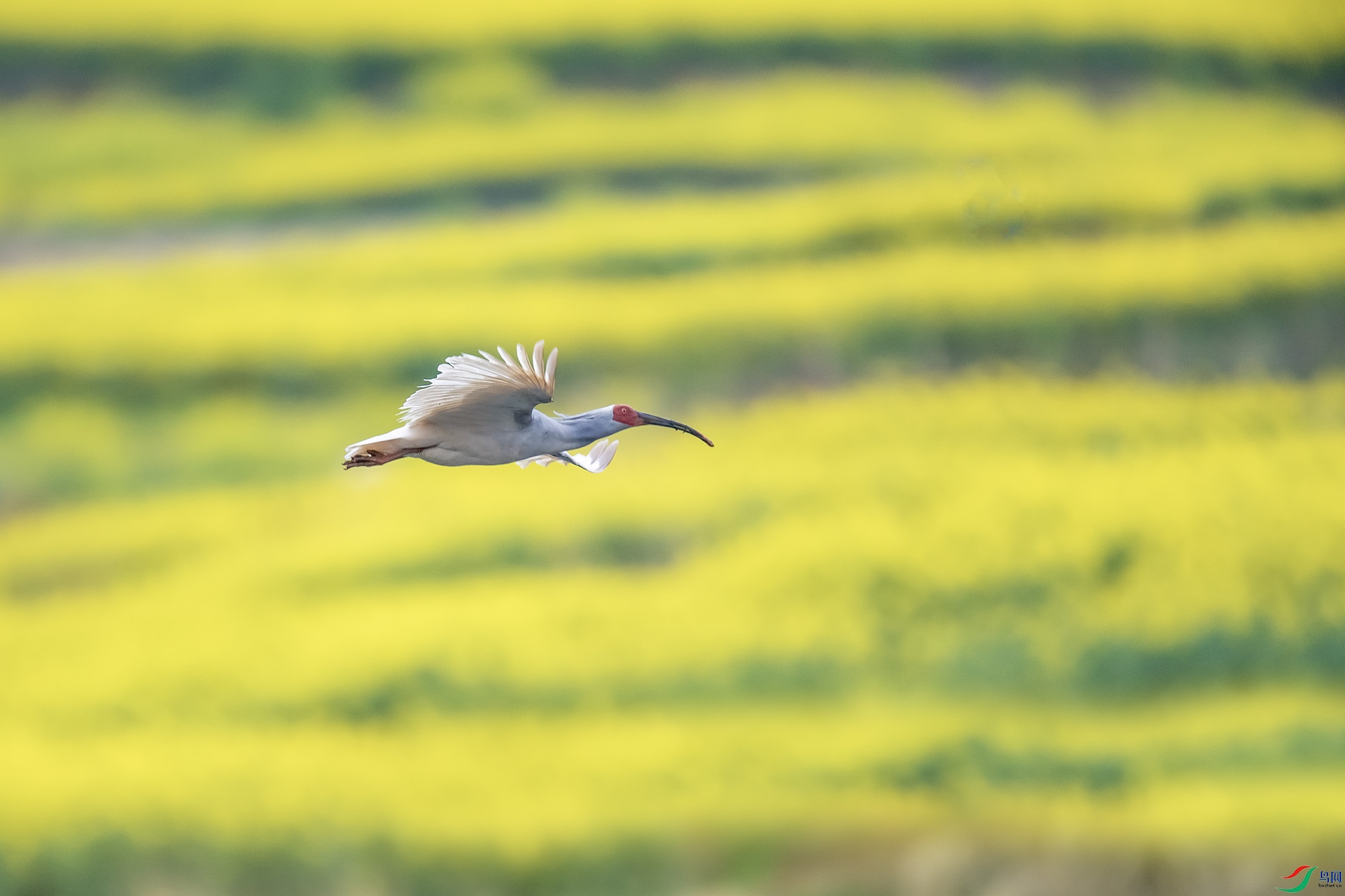 DSC_6882x.jpg