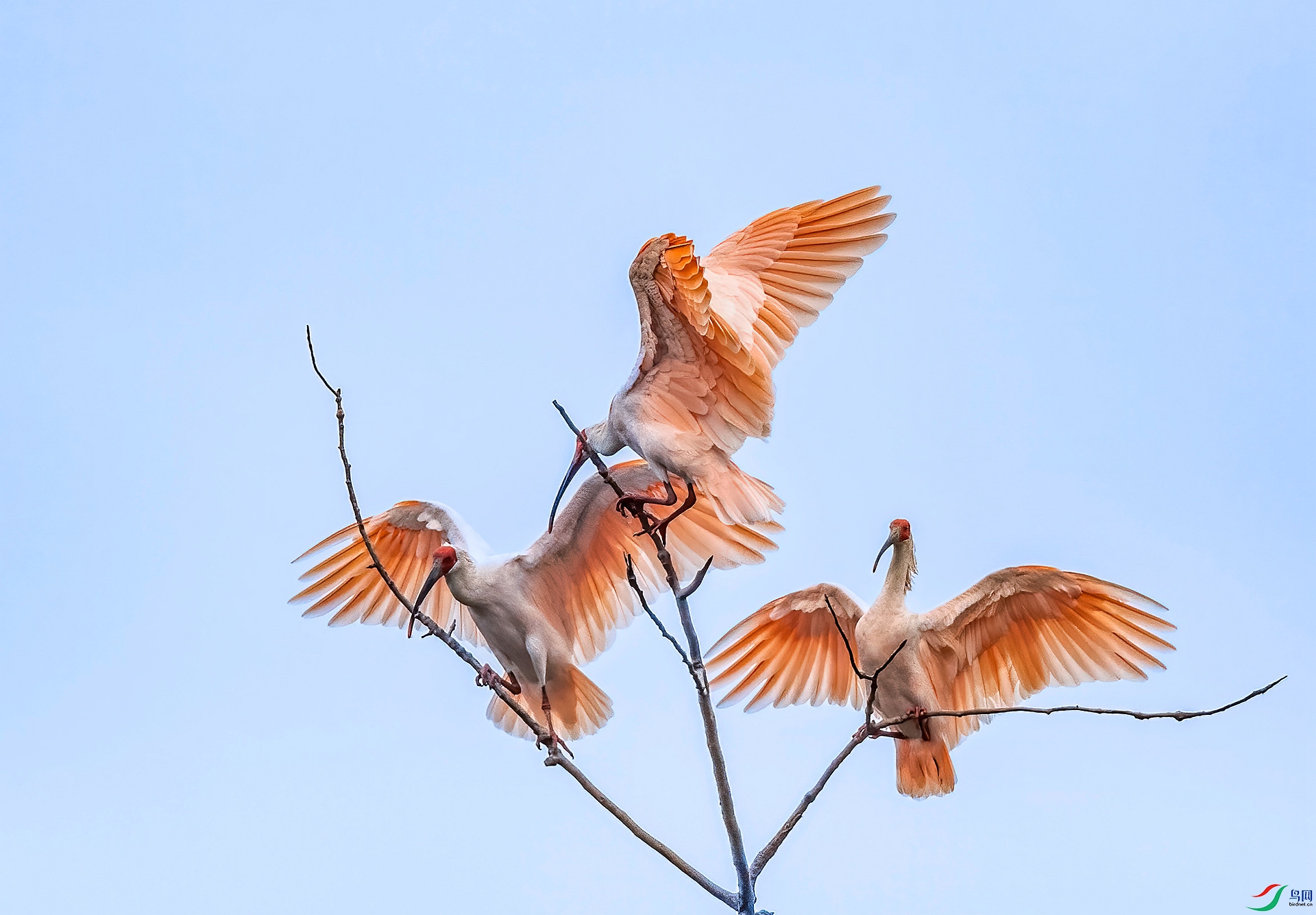 DSC_6311 ����_����.jpg