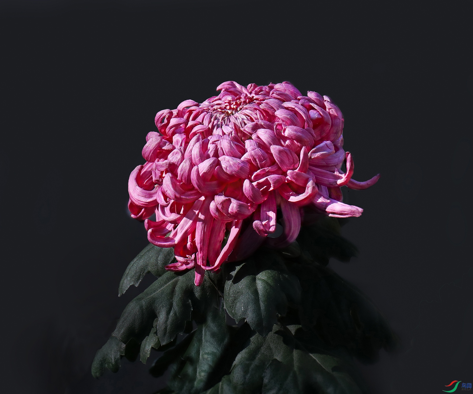 0000583A0369 ���� 1000k.jpg