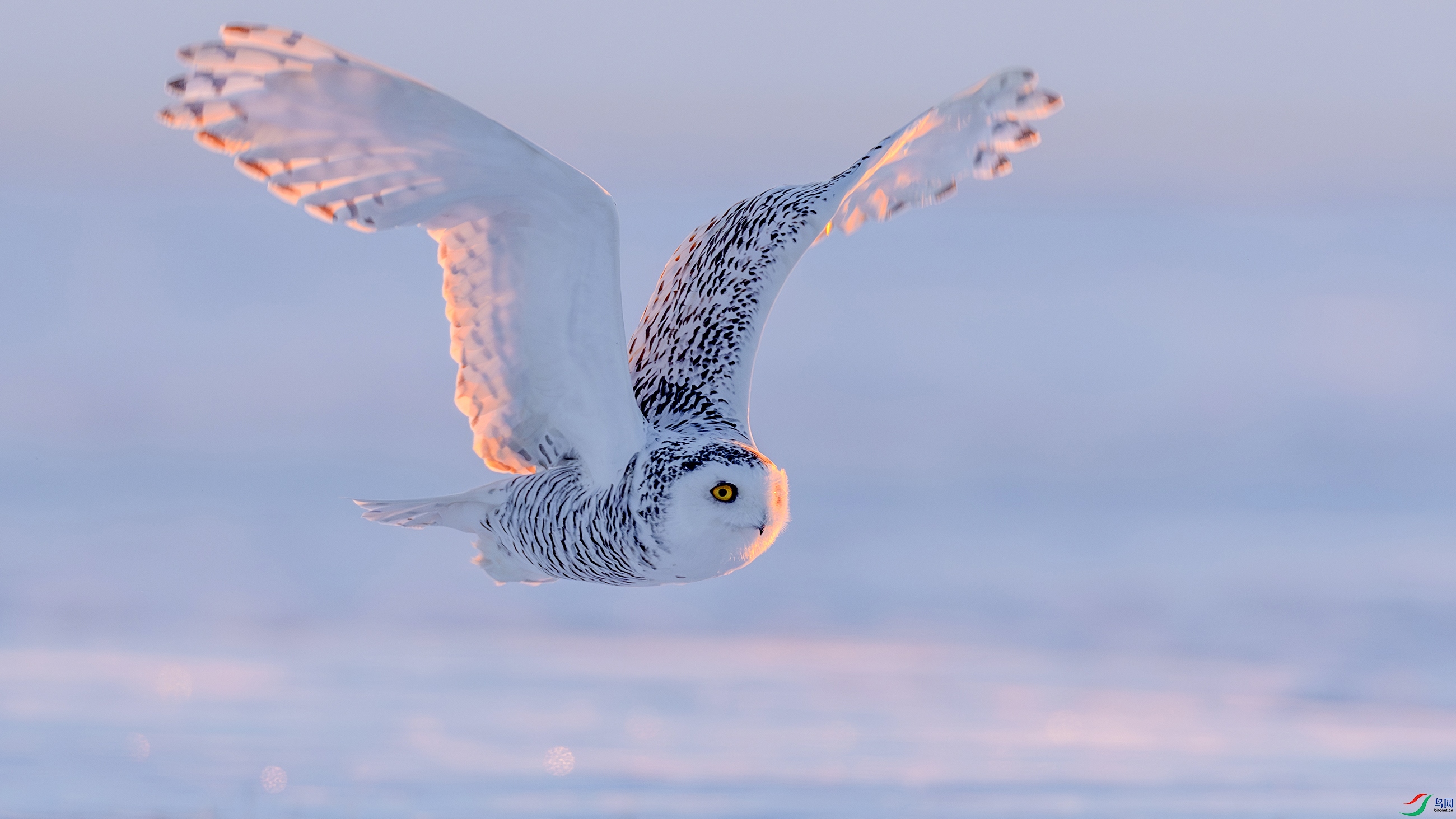 DSC03234 - ���� ����.jpg