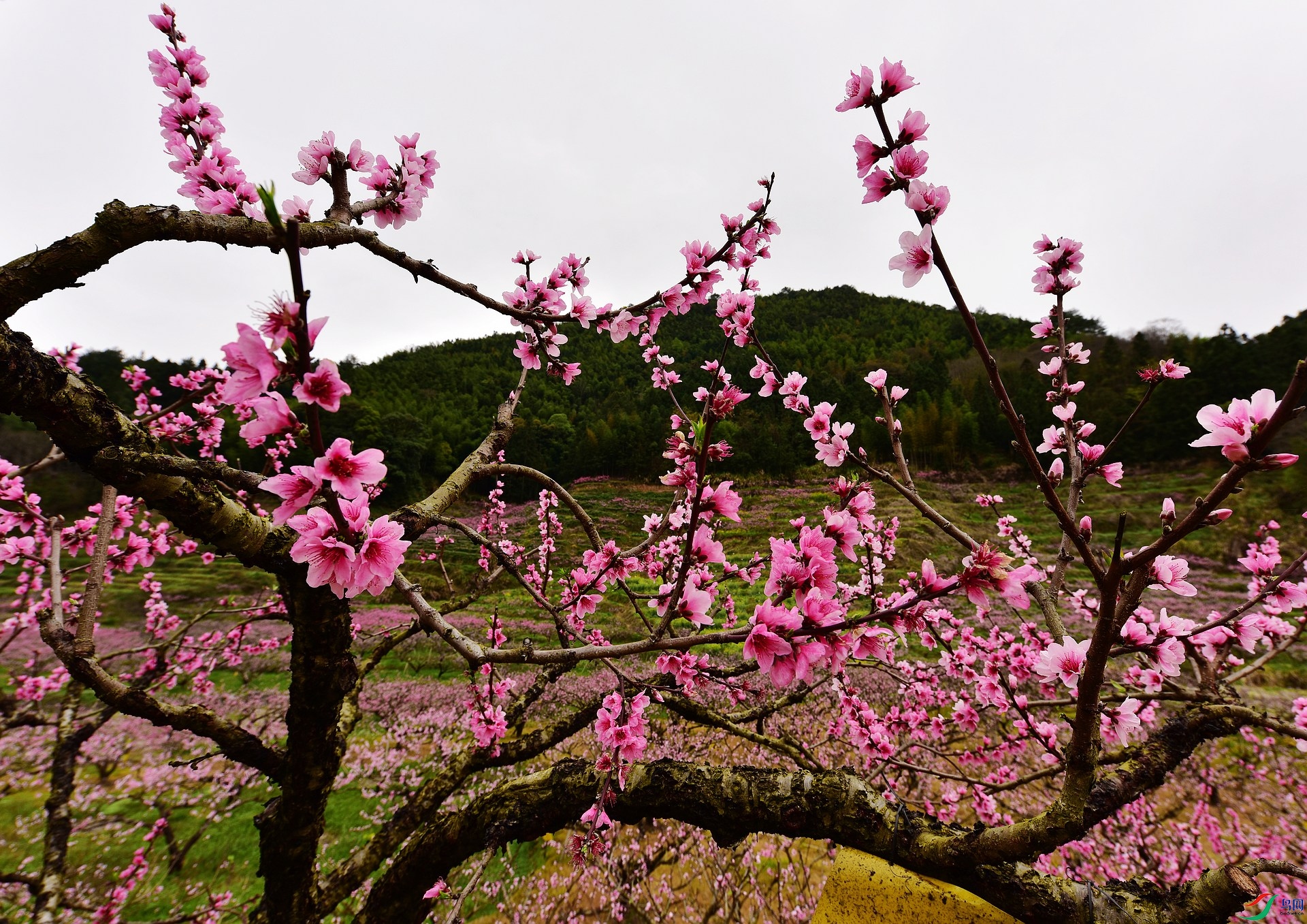 D8I_0179.jpg