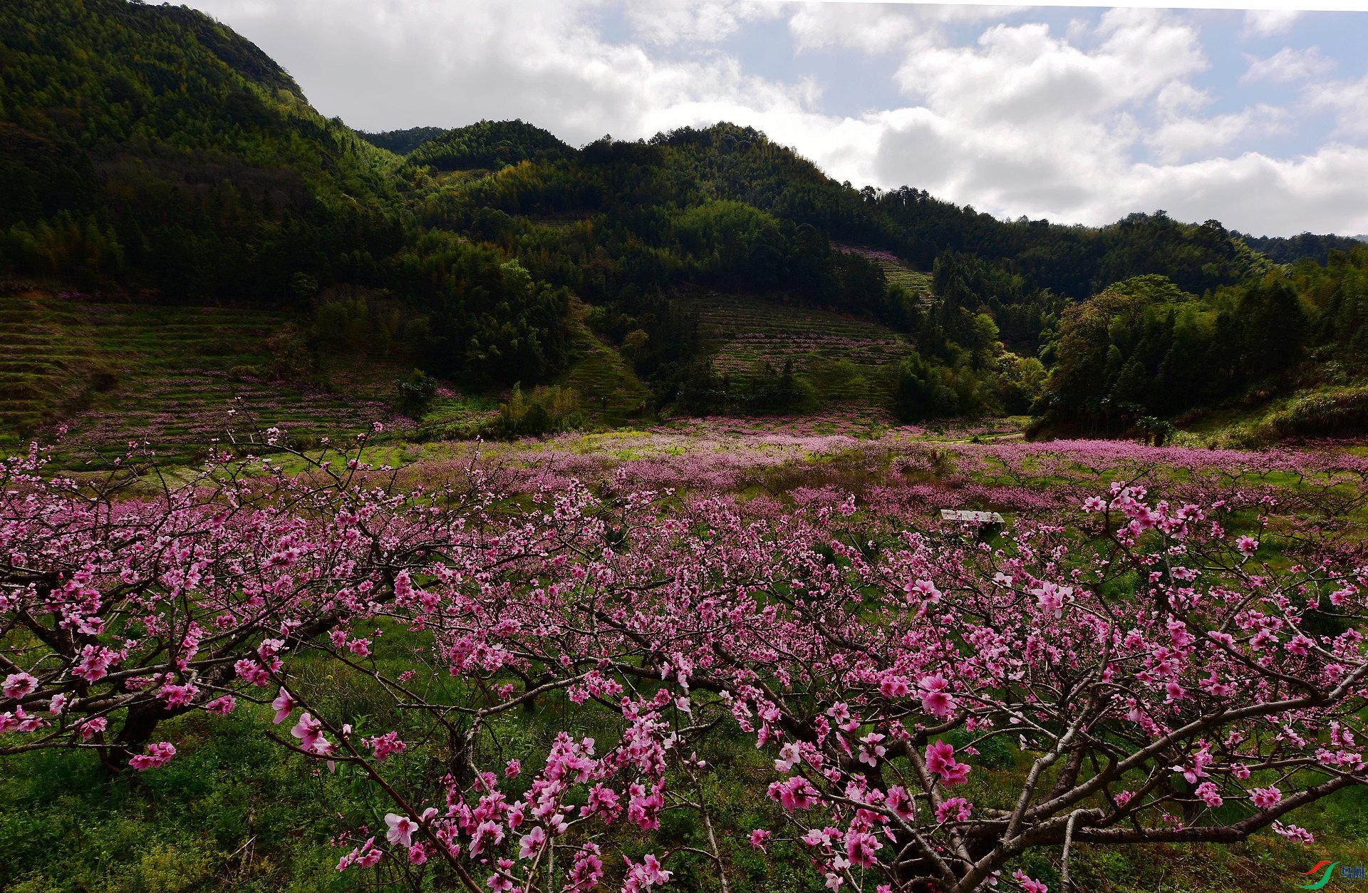 D8I_0217.jpg