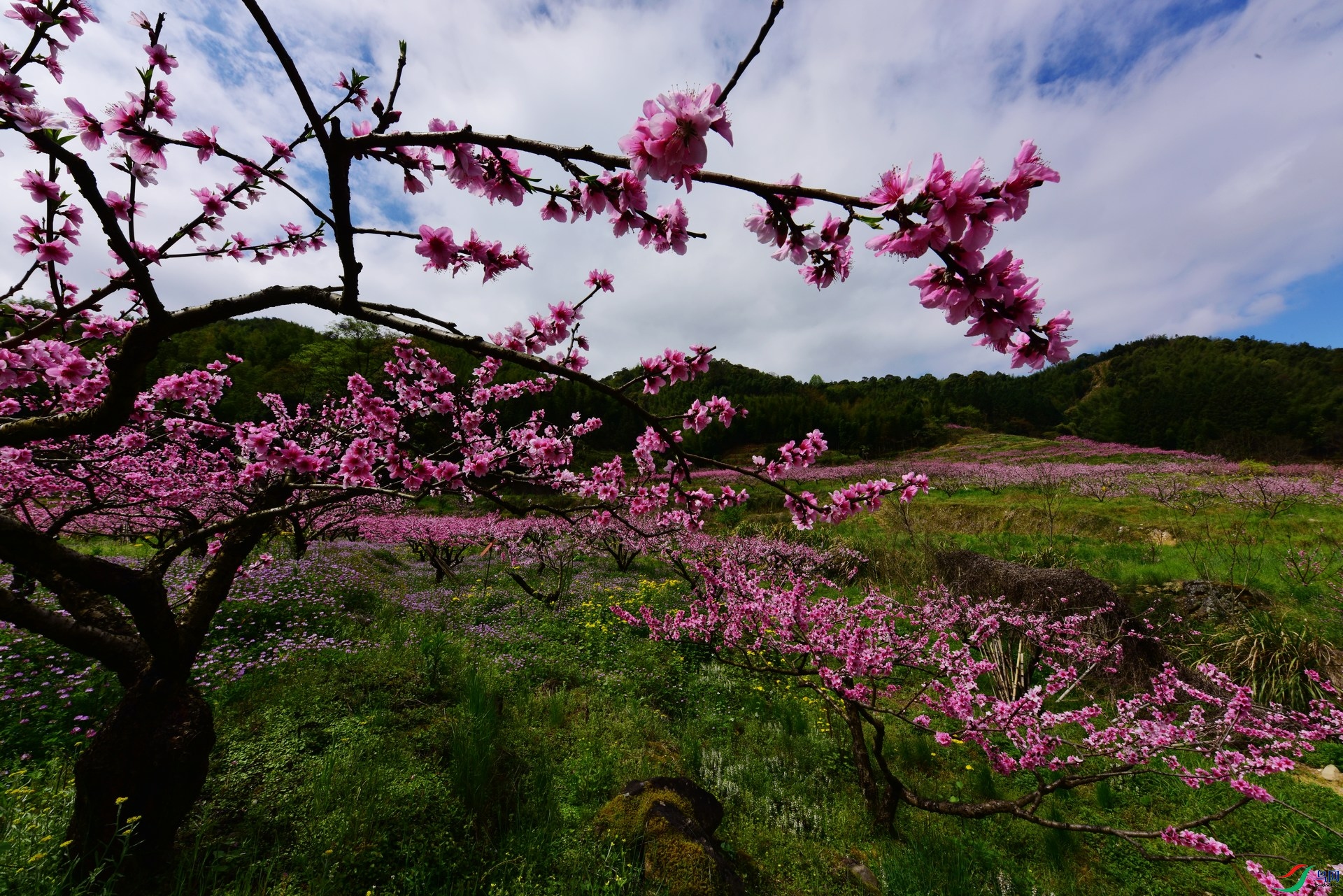 D8I_0341.jpg