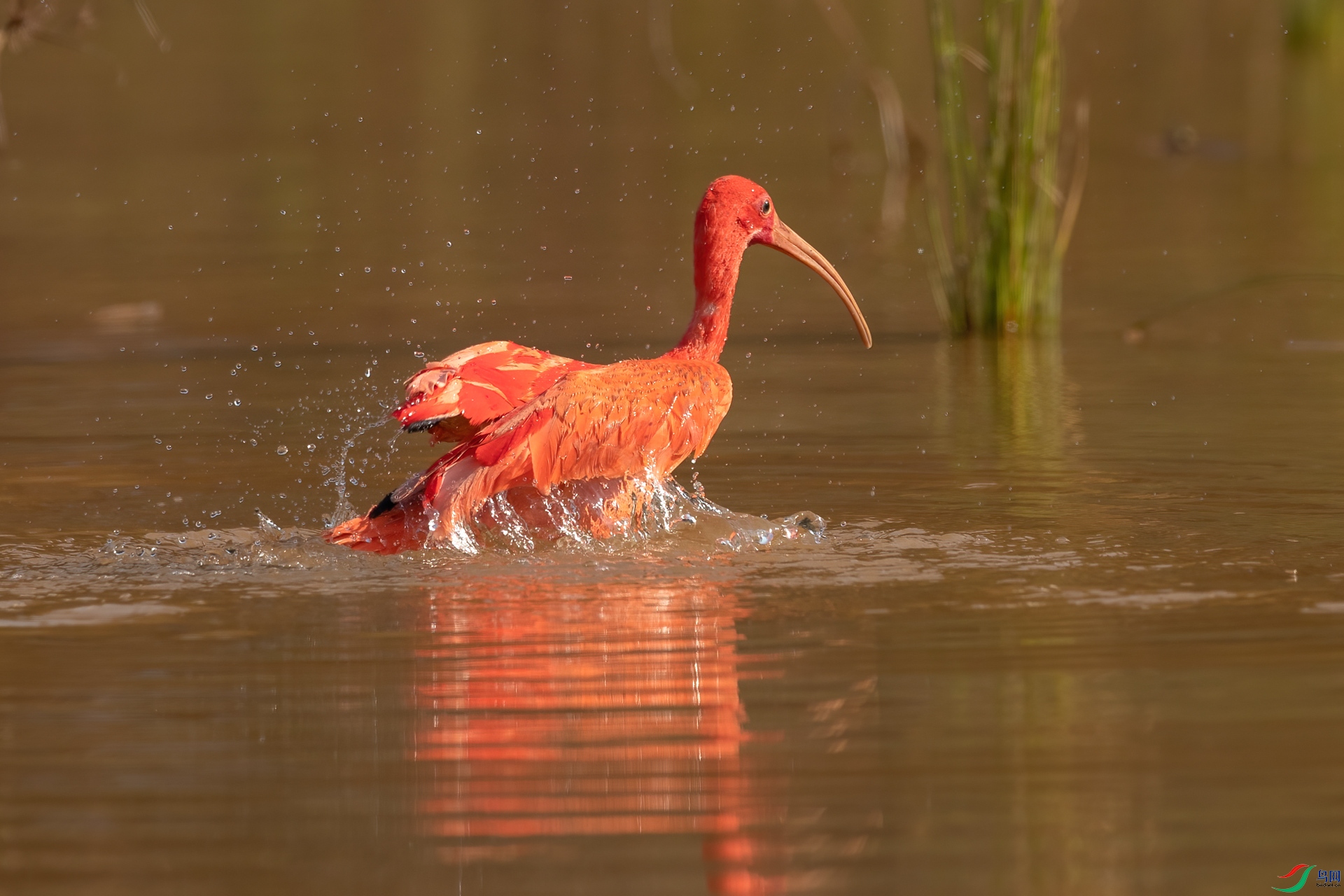 B86I6126 _����.jpg