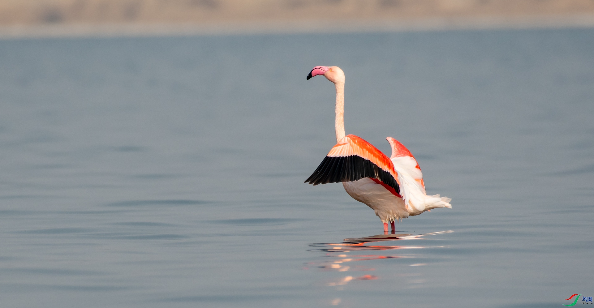 DSC_7954.jpg