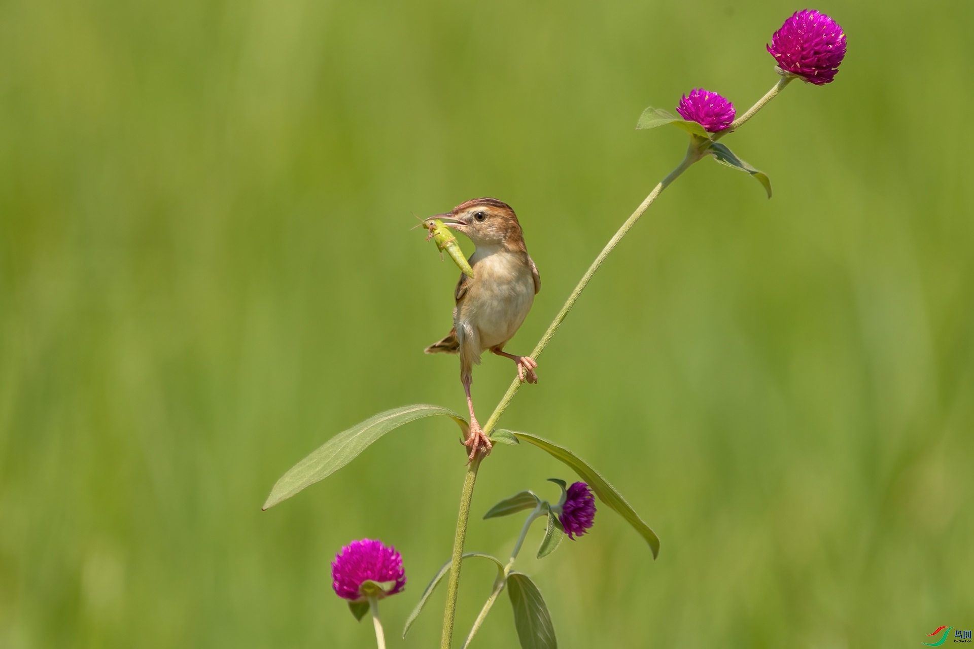 B86I5015 _����.jpg