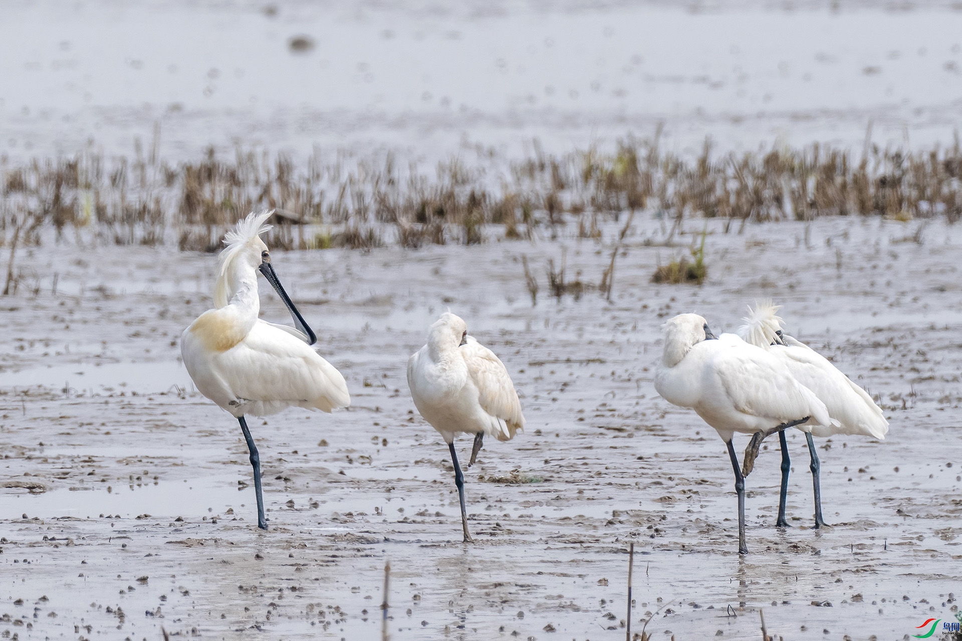 01 P3258021-DeNoiseAI-low-light.jpg