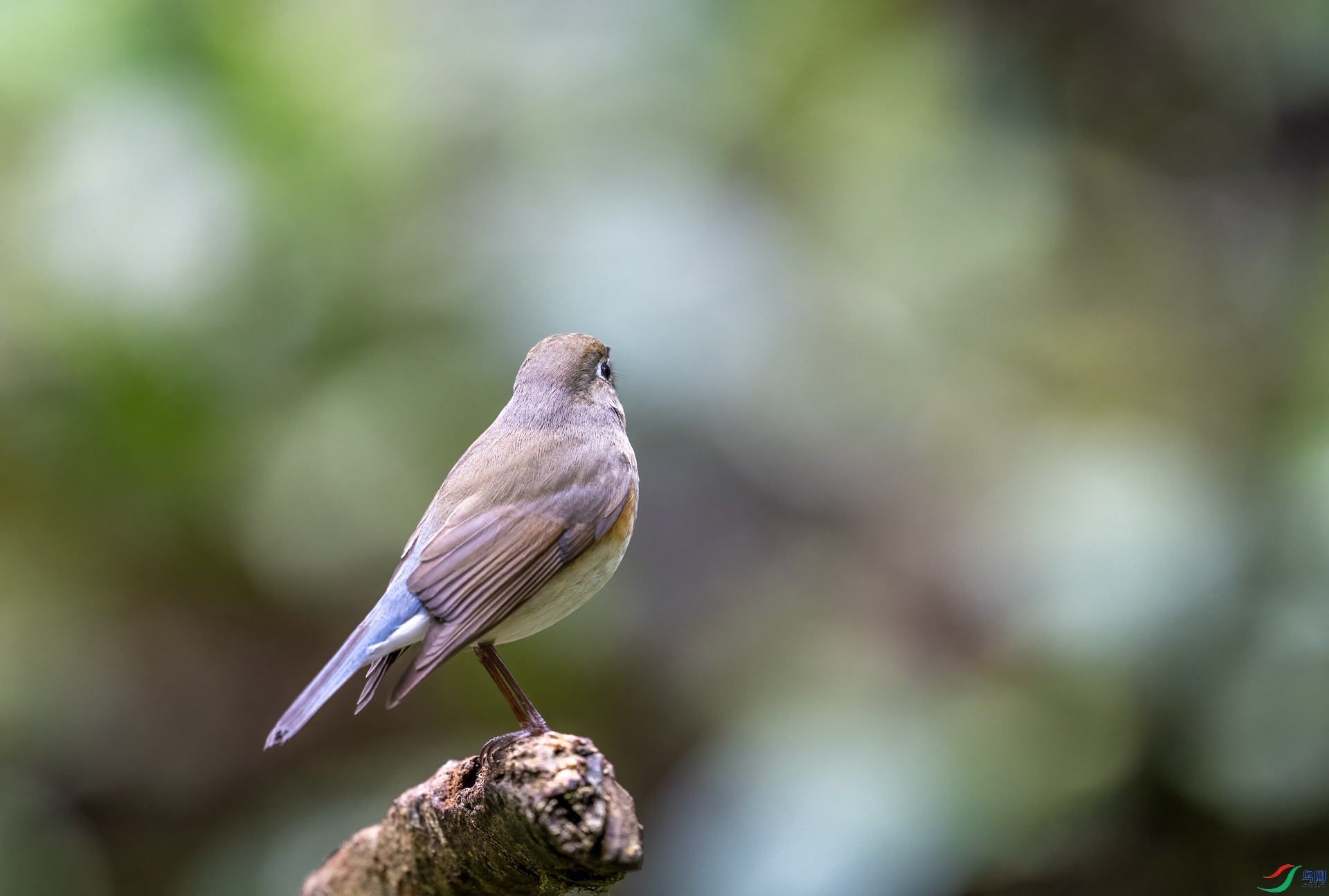 DSC_5966.jpg