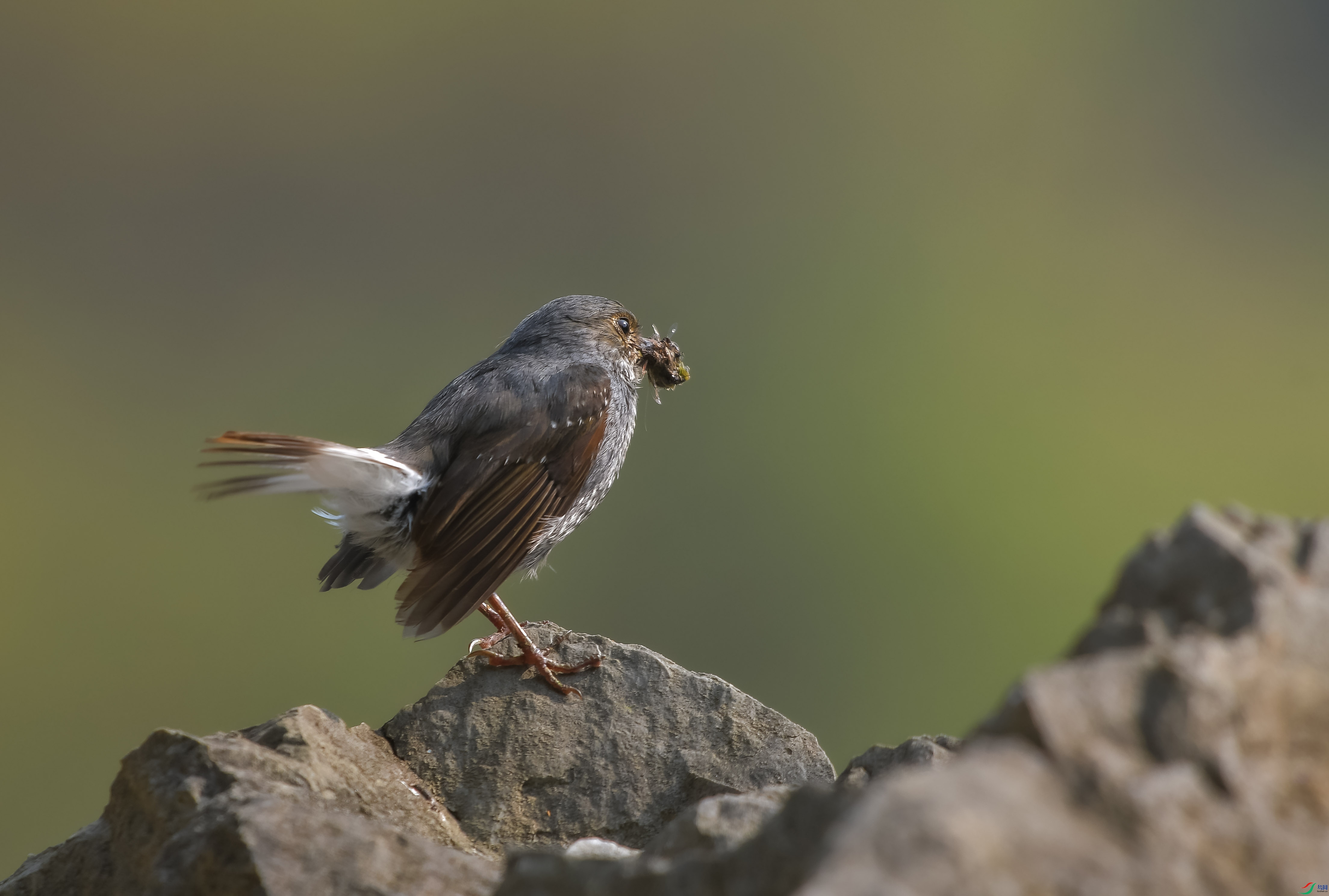 DSC_4392.JPG