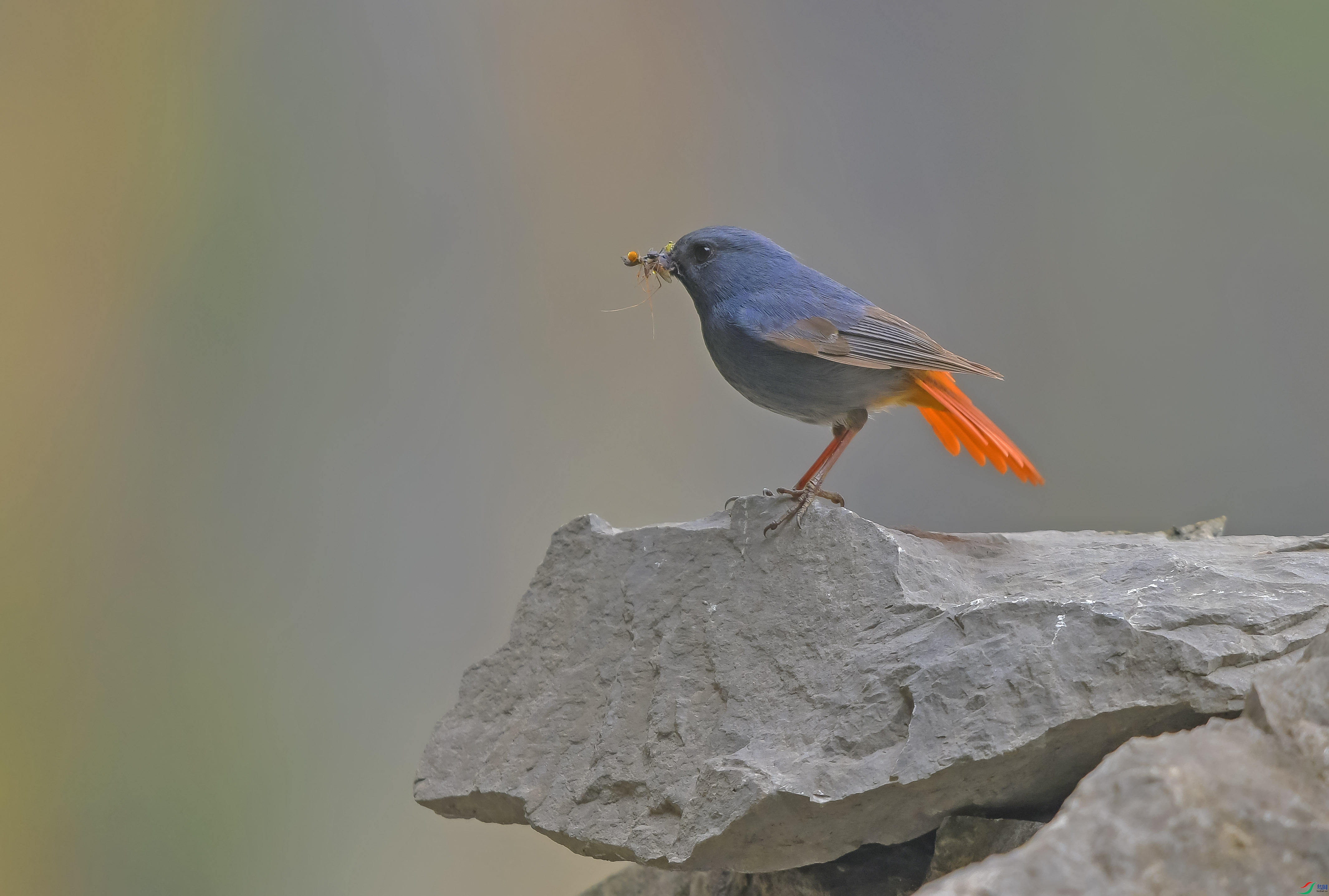 DSC_5670.JPG