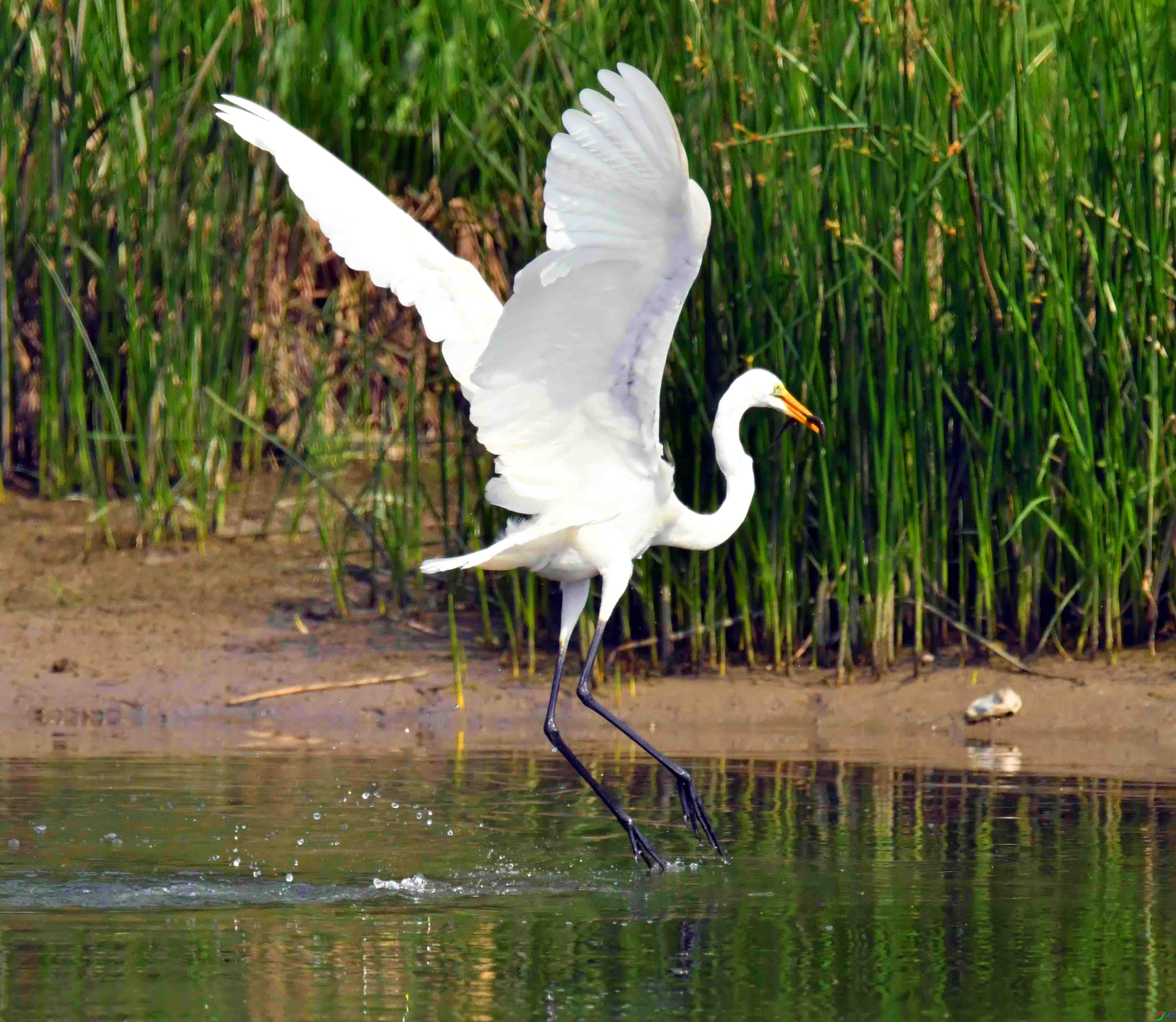 DSC_0361.JPG
