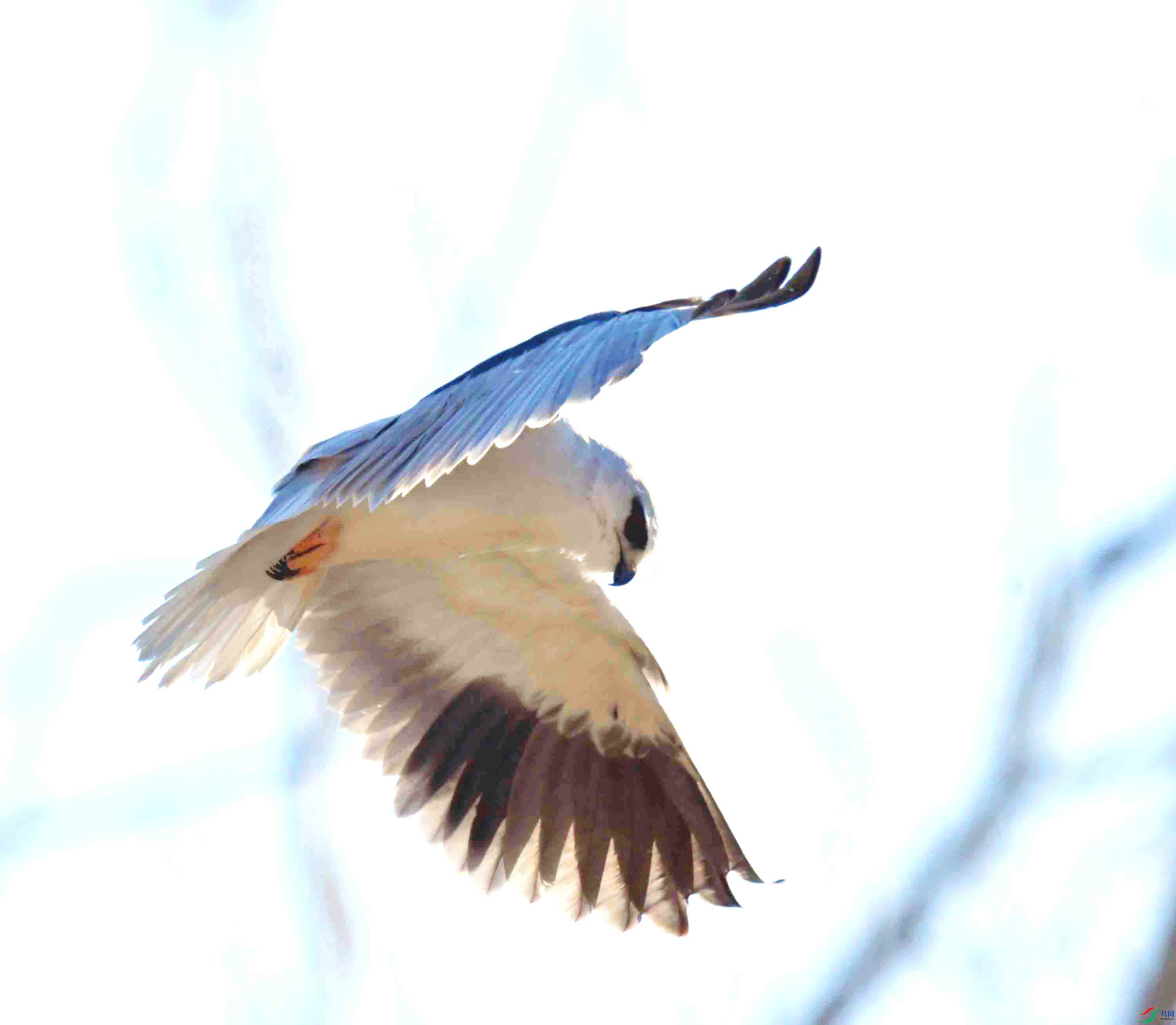 DSC_7661.JPG