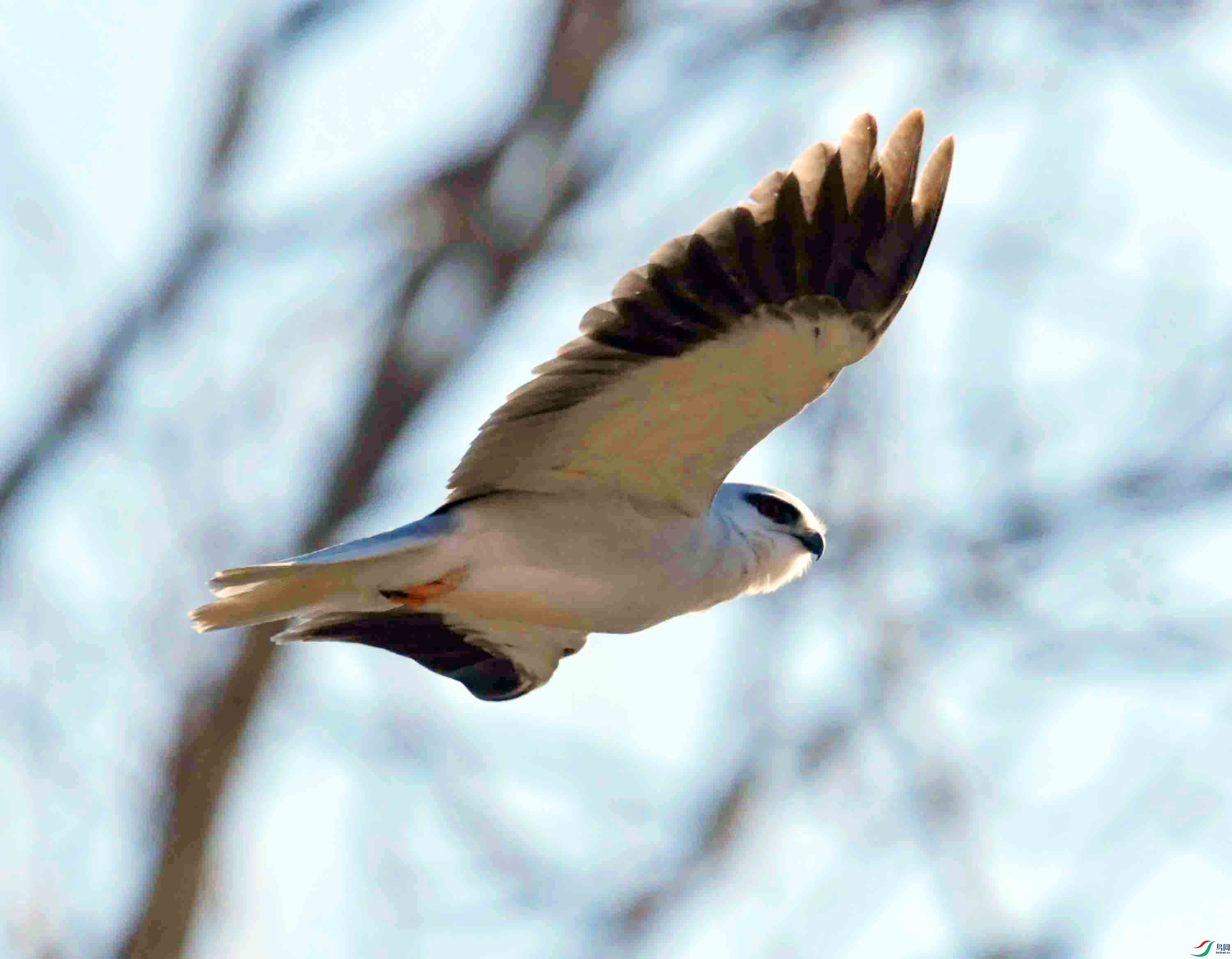 DSC_7674.JPG