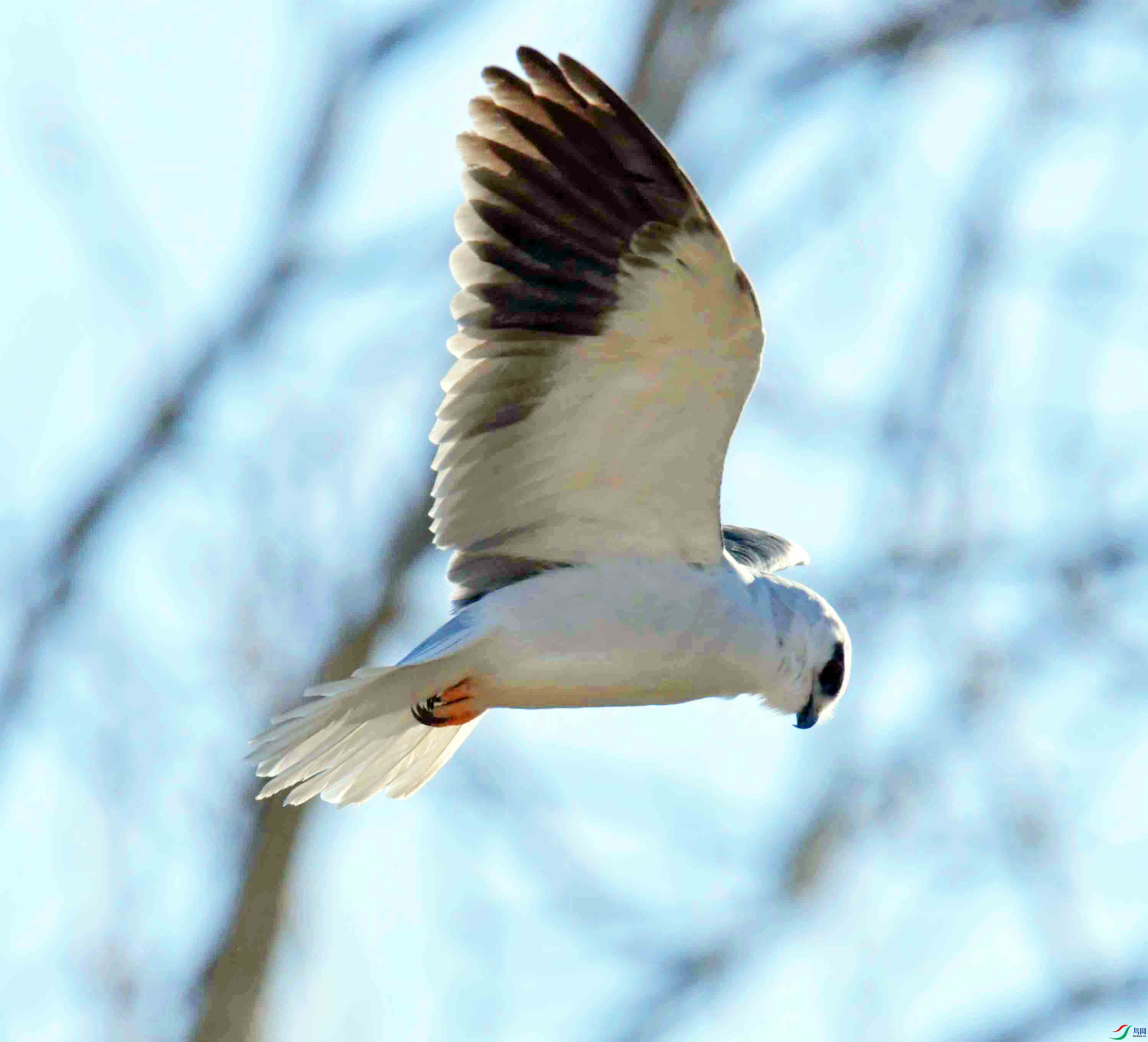 DSC_7686.JPG