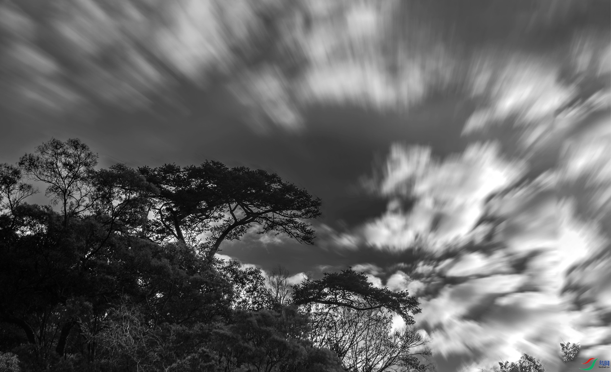 BF1I5177 ����1_����.jpg