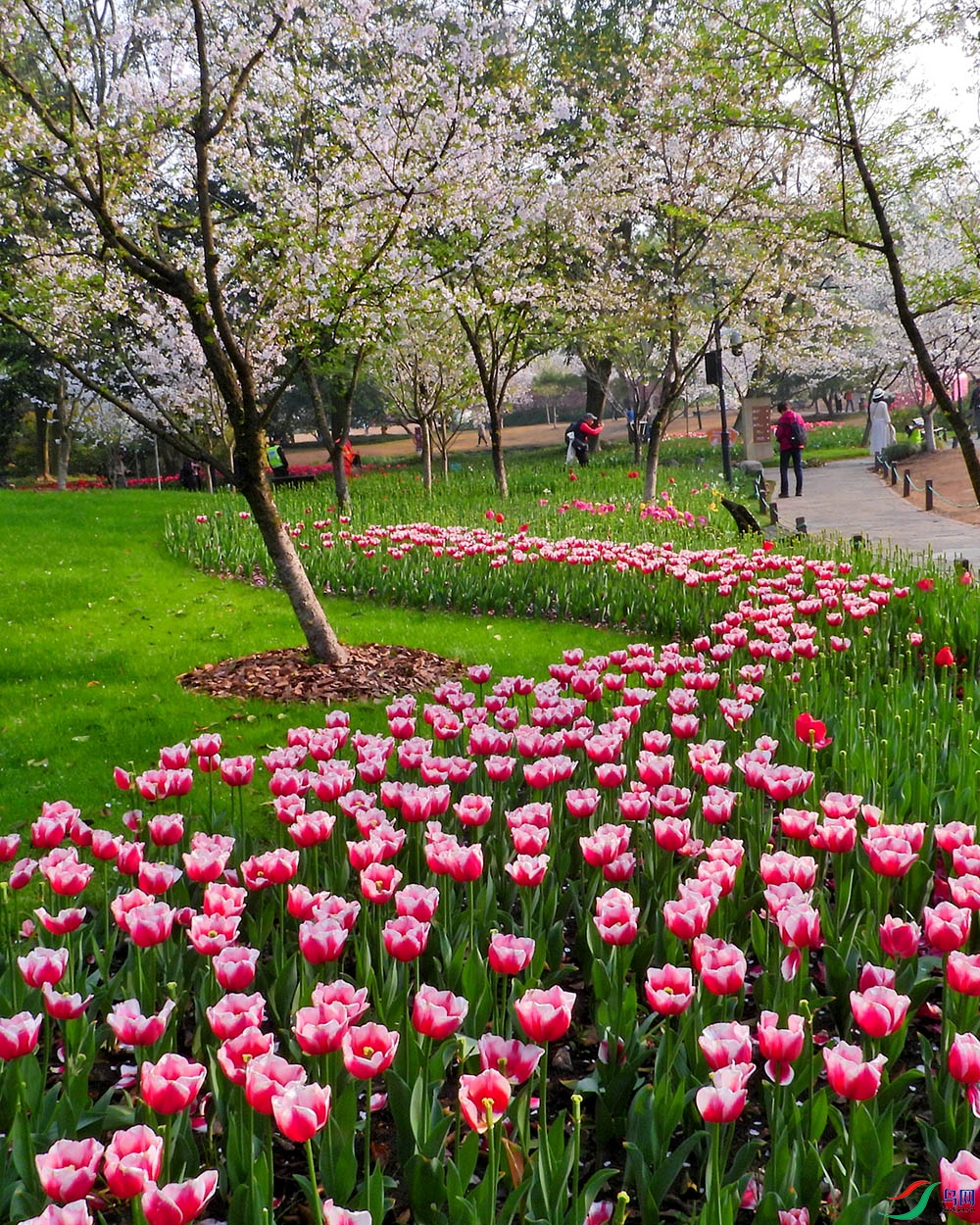 DSCN2826.JPG