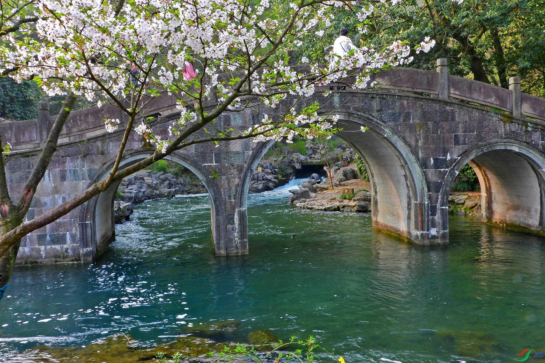 DSCN2824.JPG