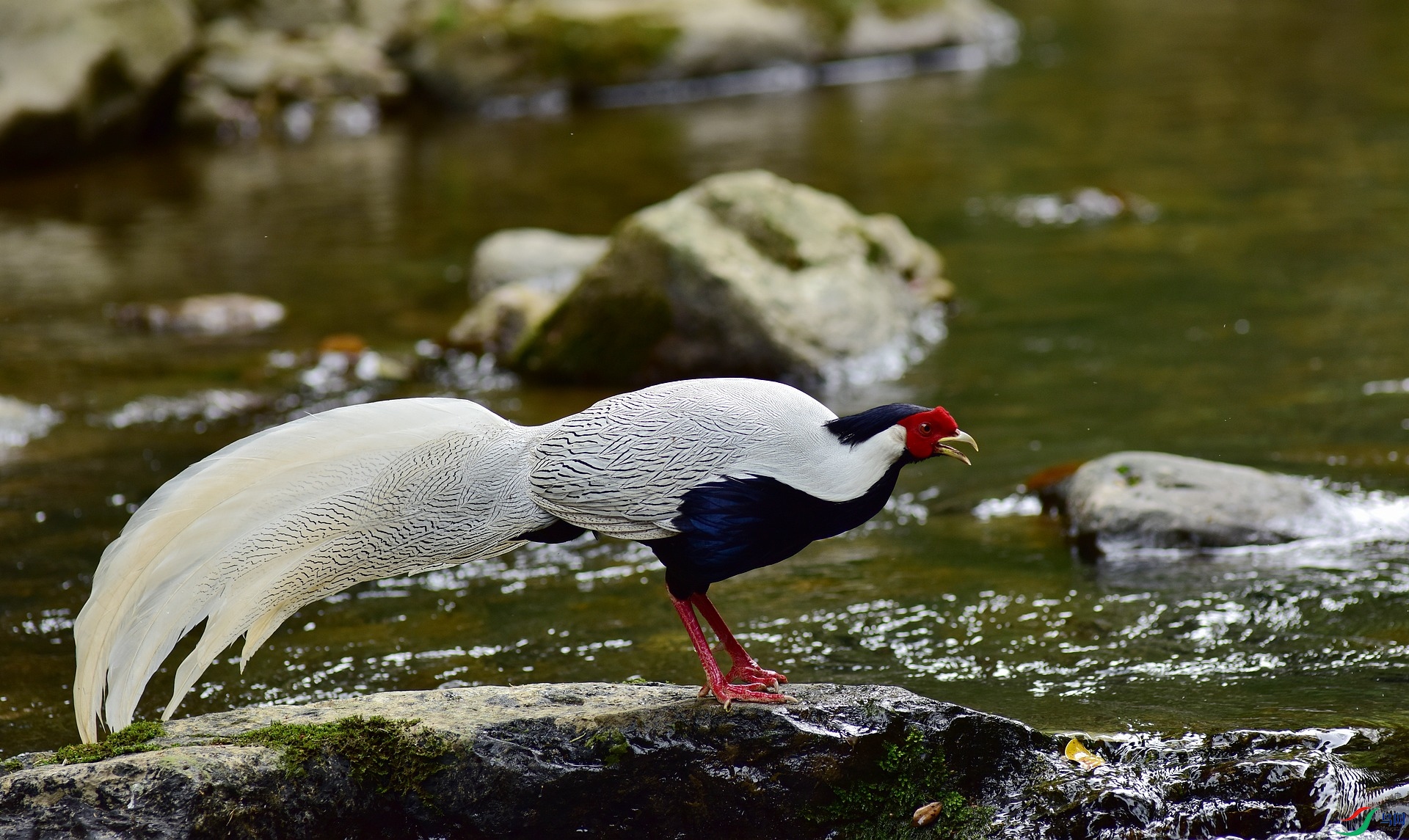 D8I_0570.jpg