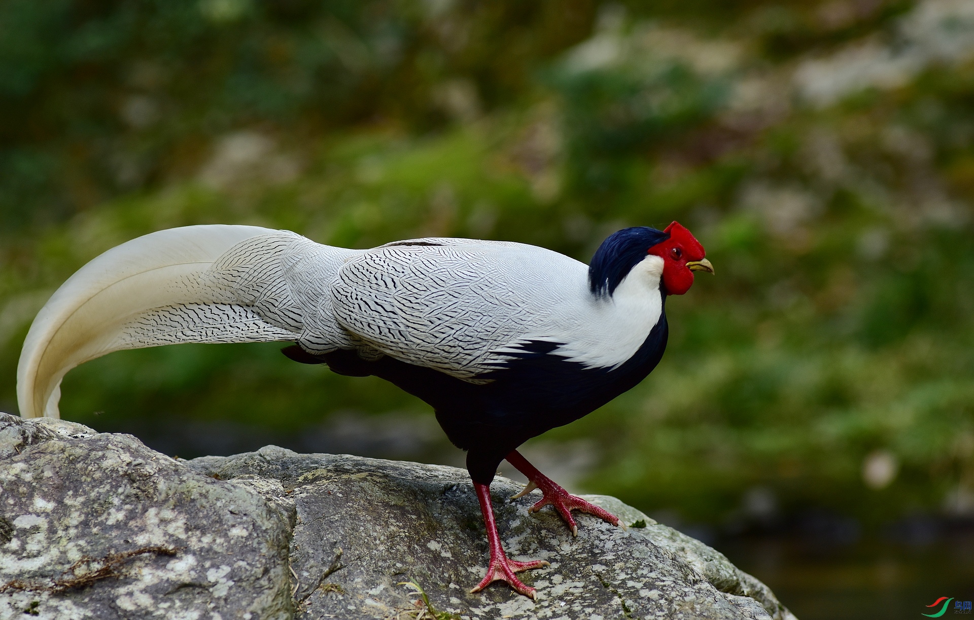 D8I_0858.jpg