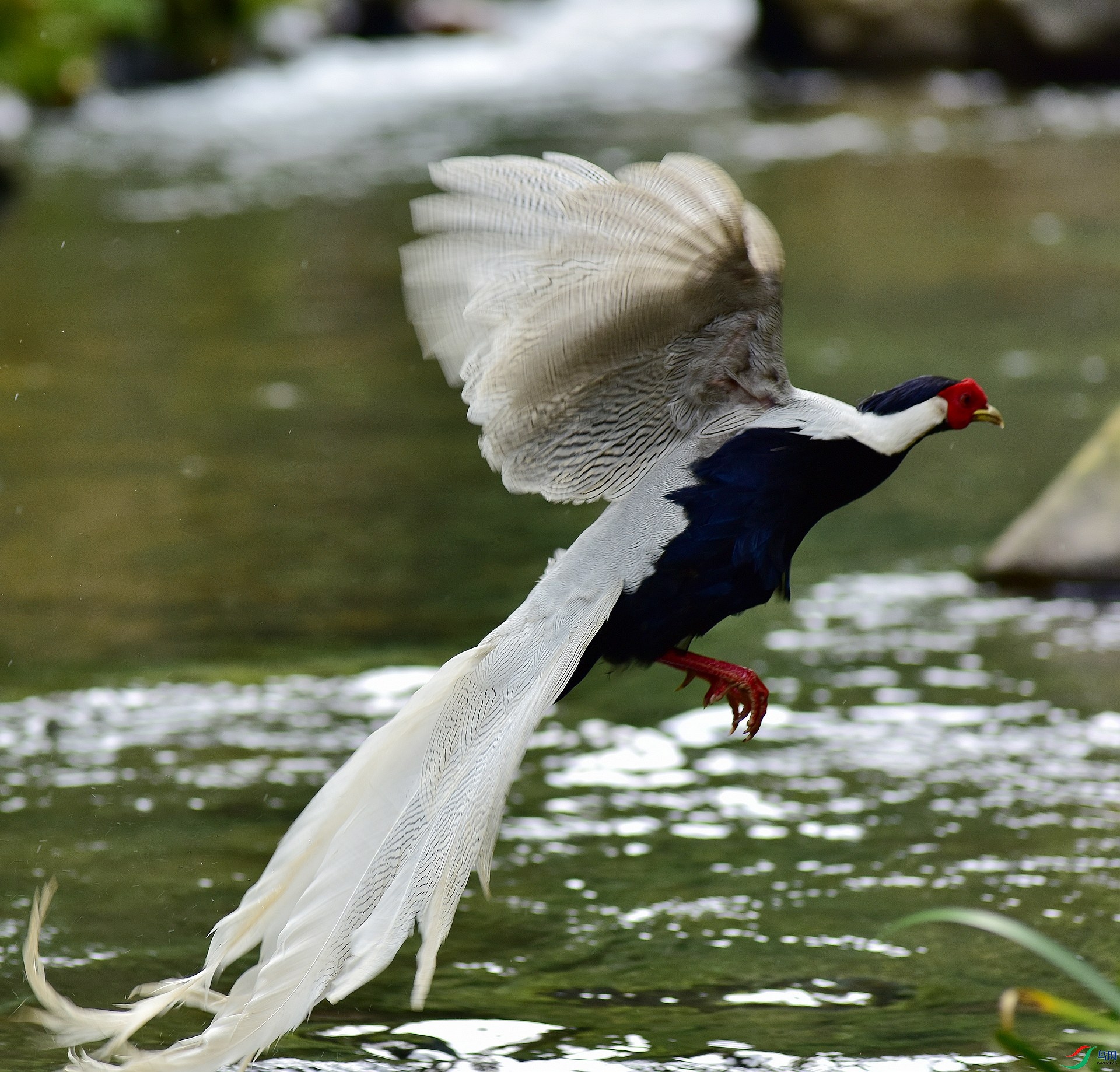 D8I_0576.jpg