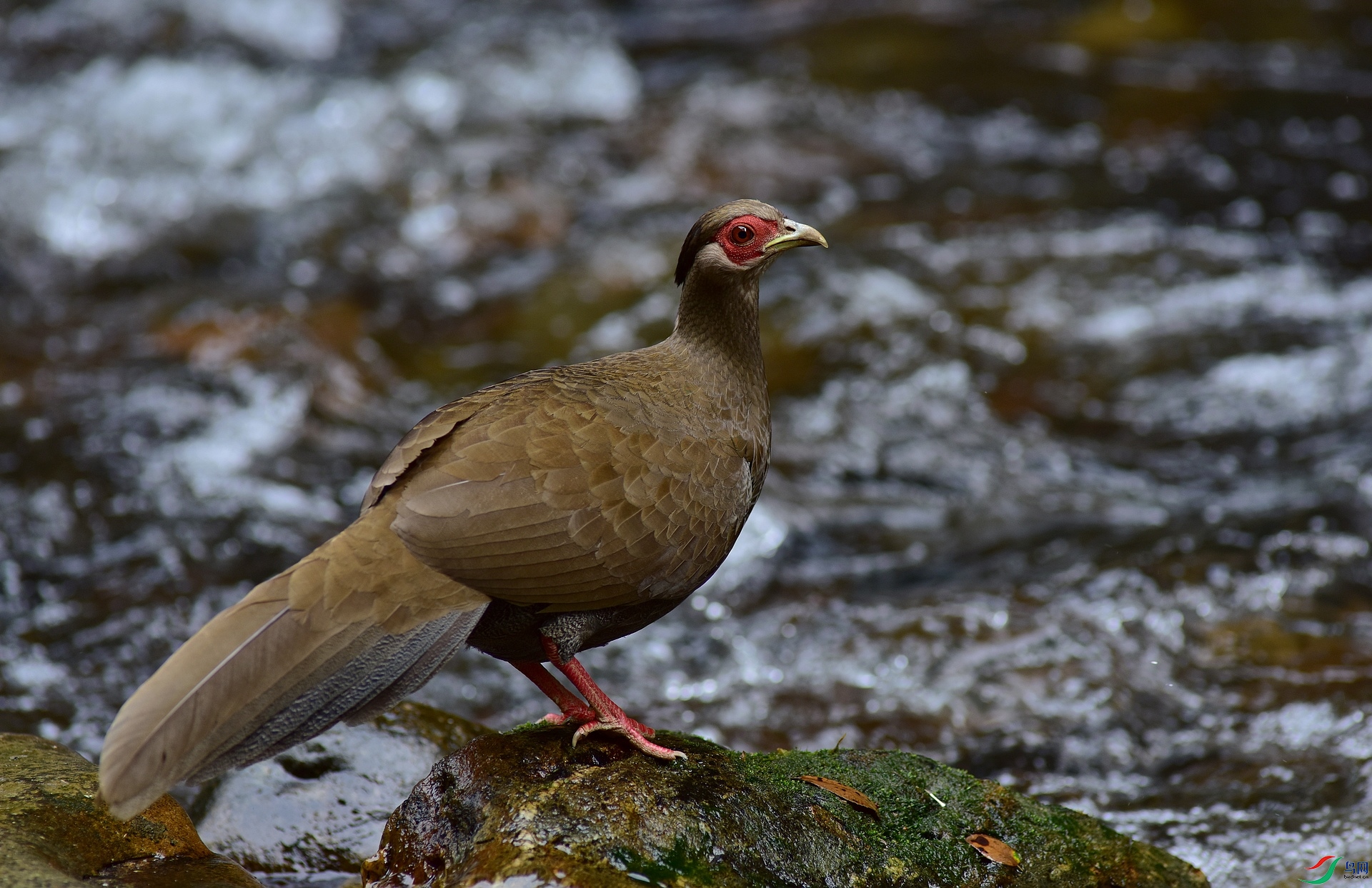 D8I_0764.jpg