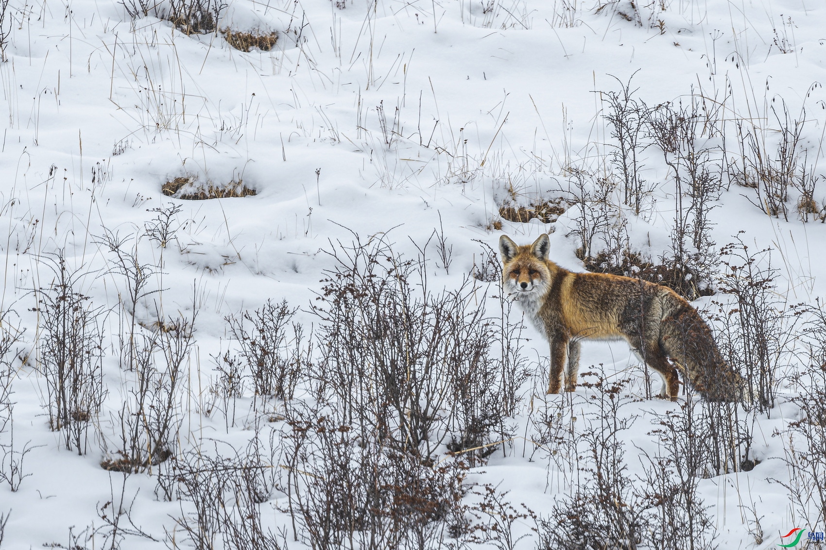 ��� (876)-1.jpg