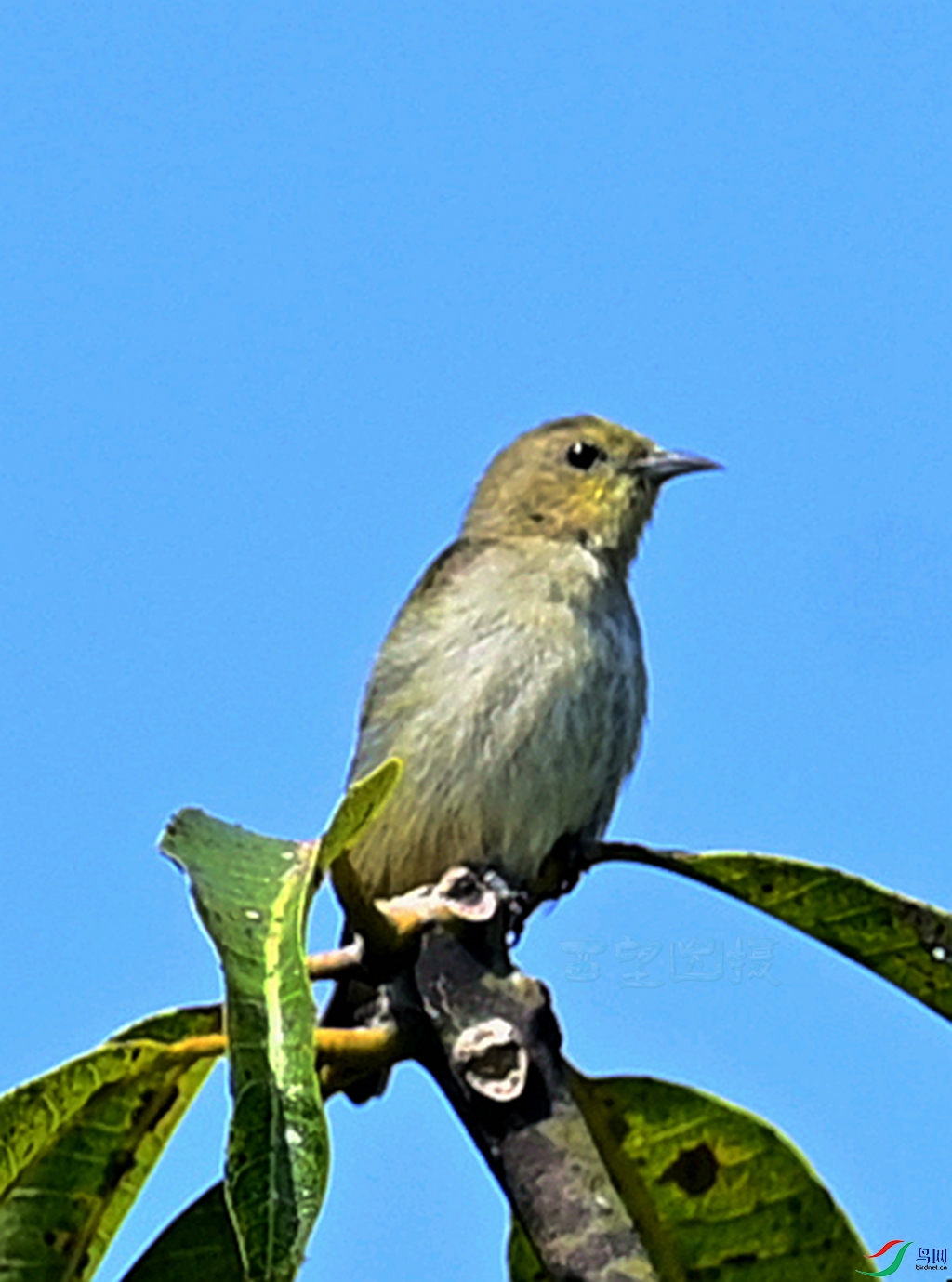 WY7_6199_����_X.jpg