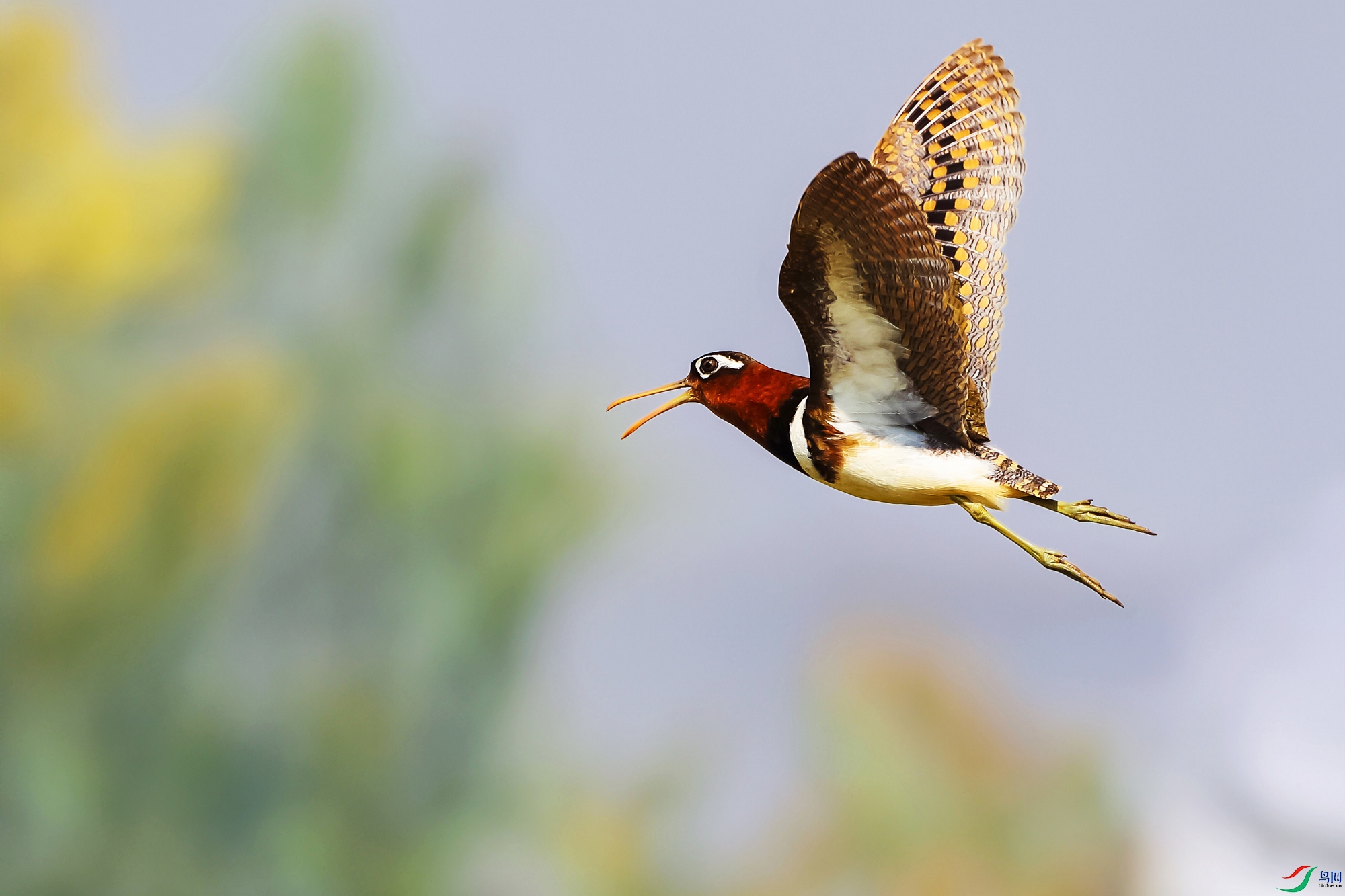 IMGL5103 ����2.jpg