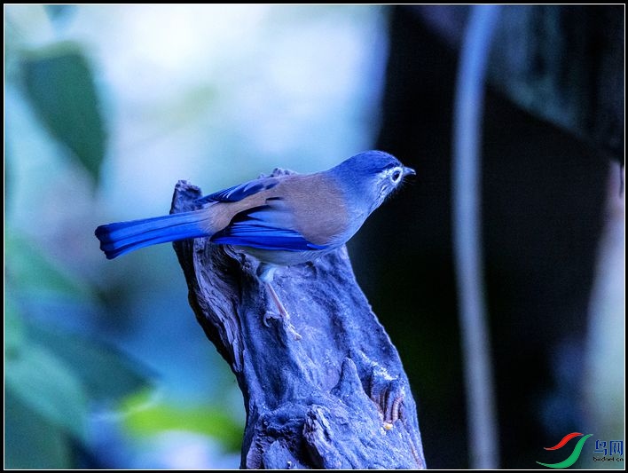 ����ϣ��