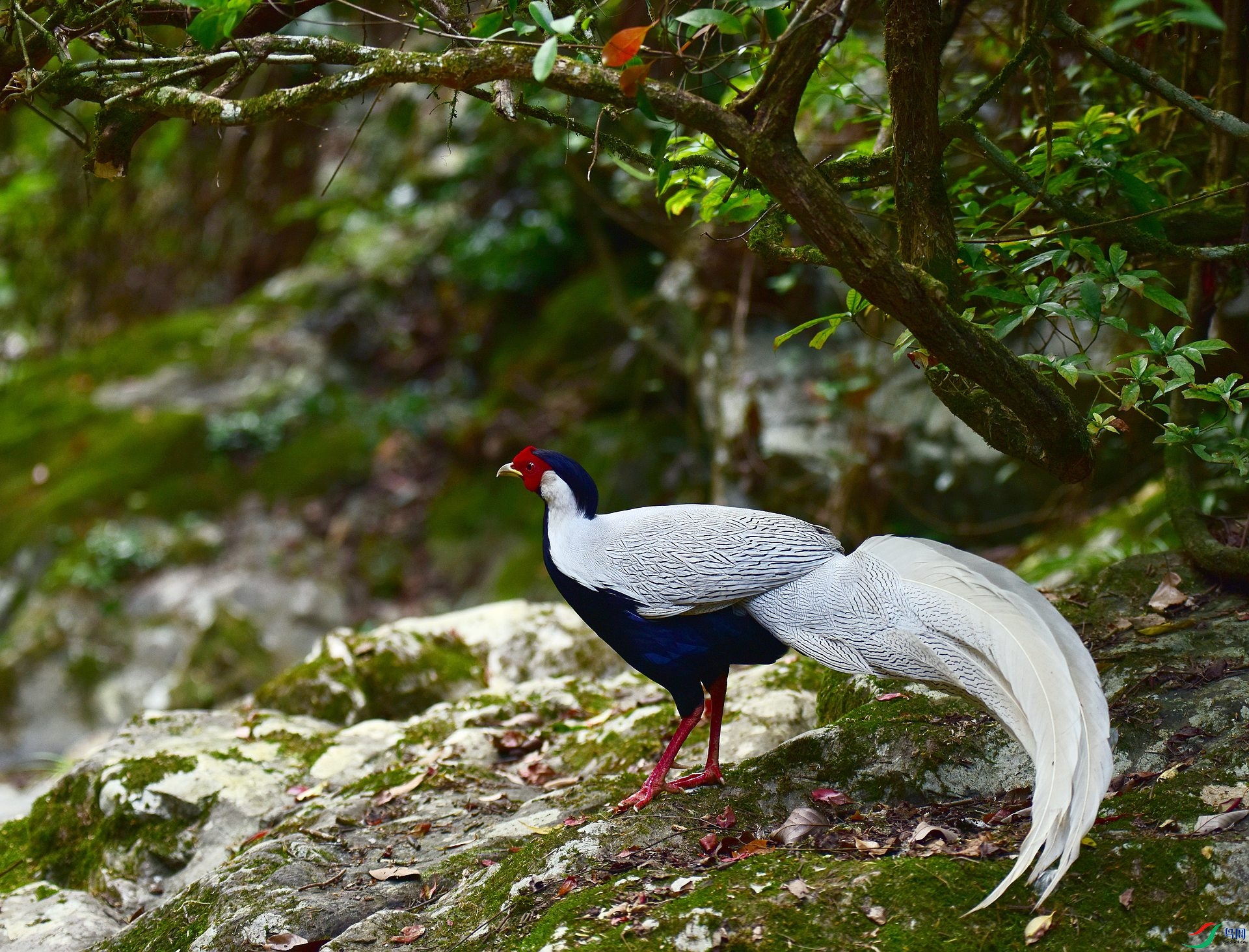 D8I_9970.jpg