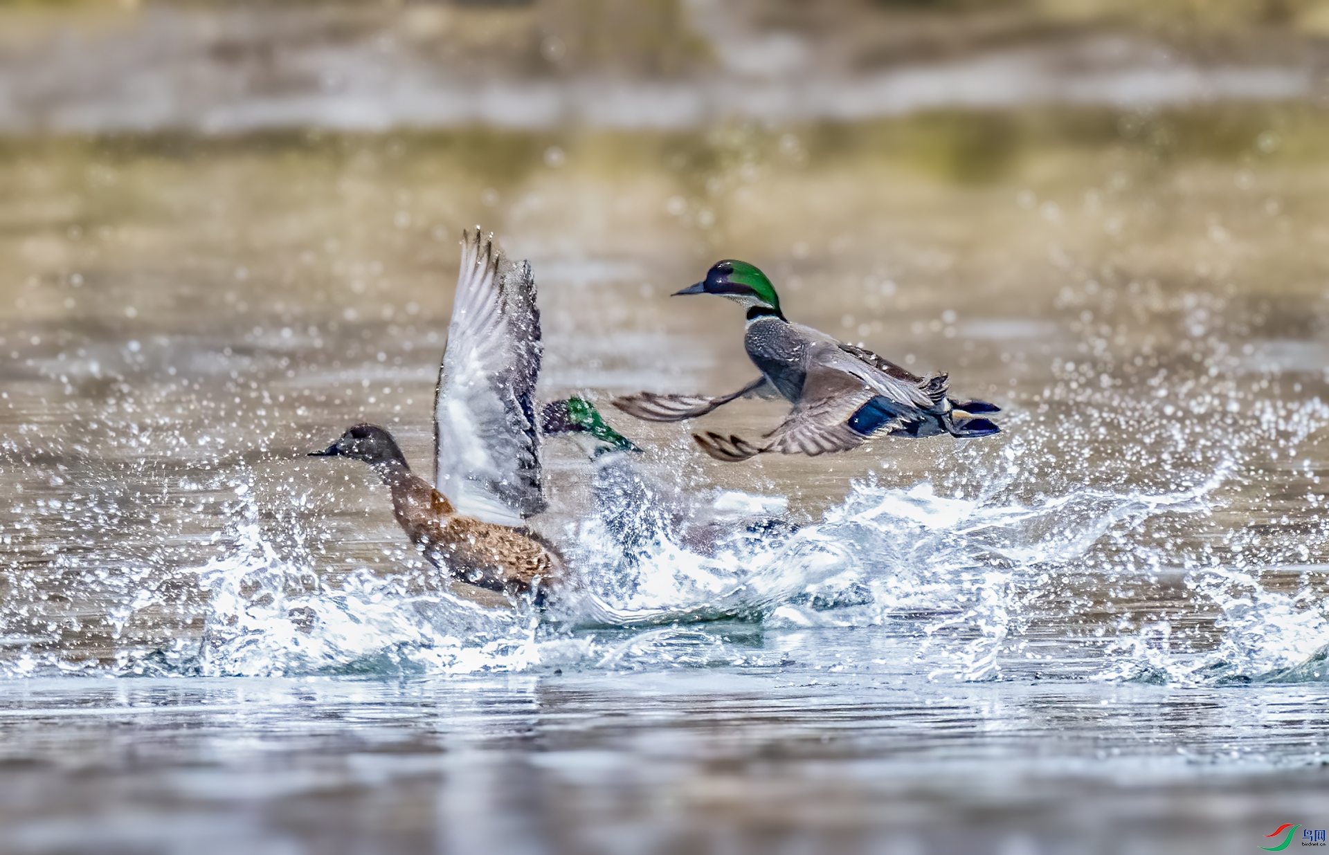 DSC_5183.jpg